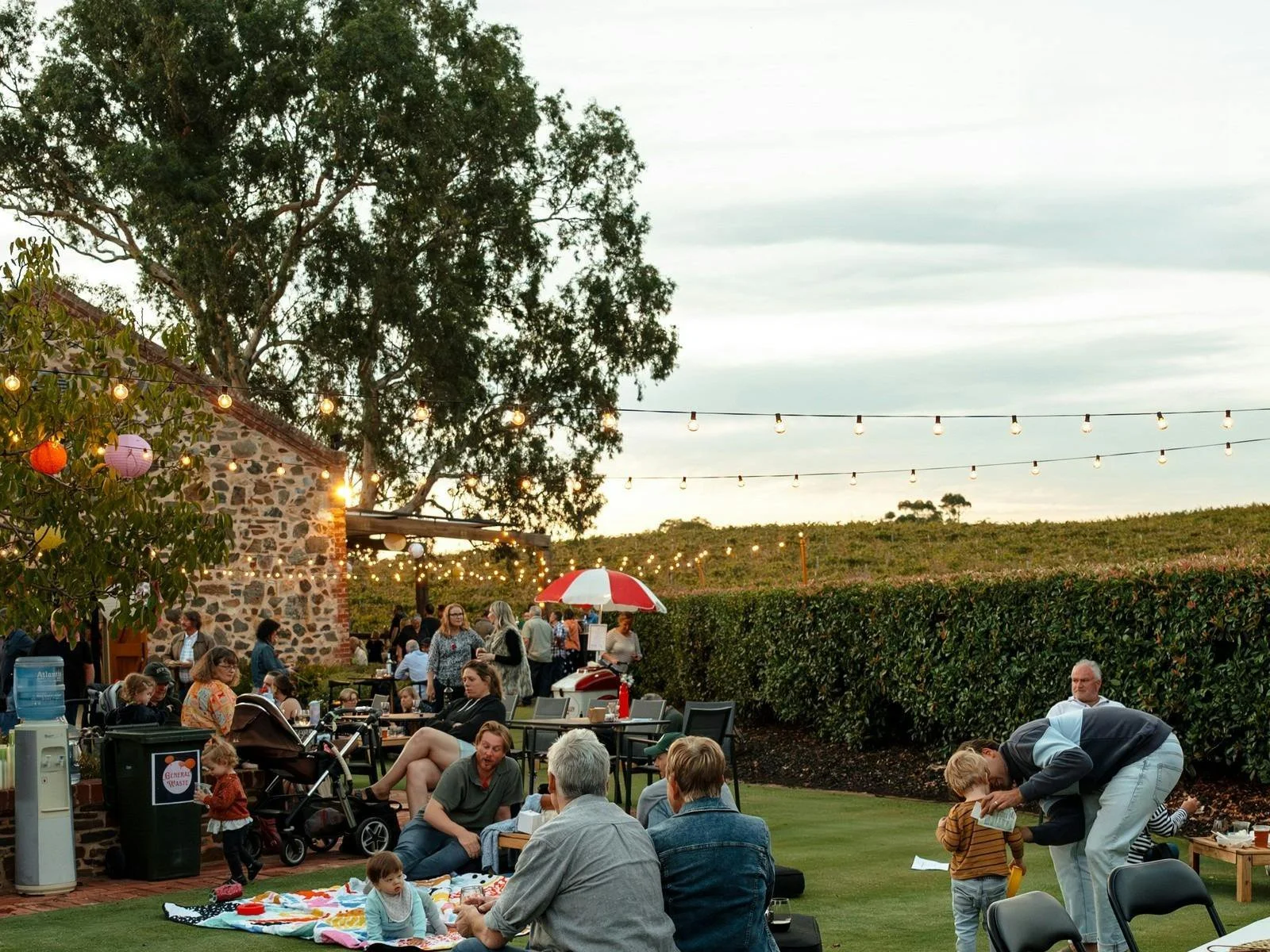 Artisan Release Party at Barossa Sessions featuring new-release Barossa wines, live DJ, local food and sunset views at Murray Street Vineyards.
