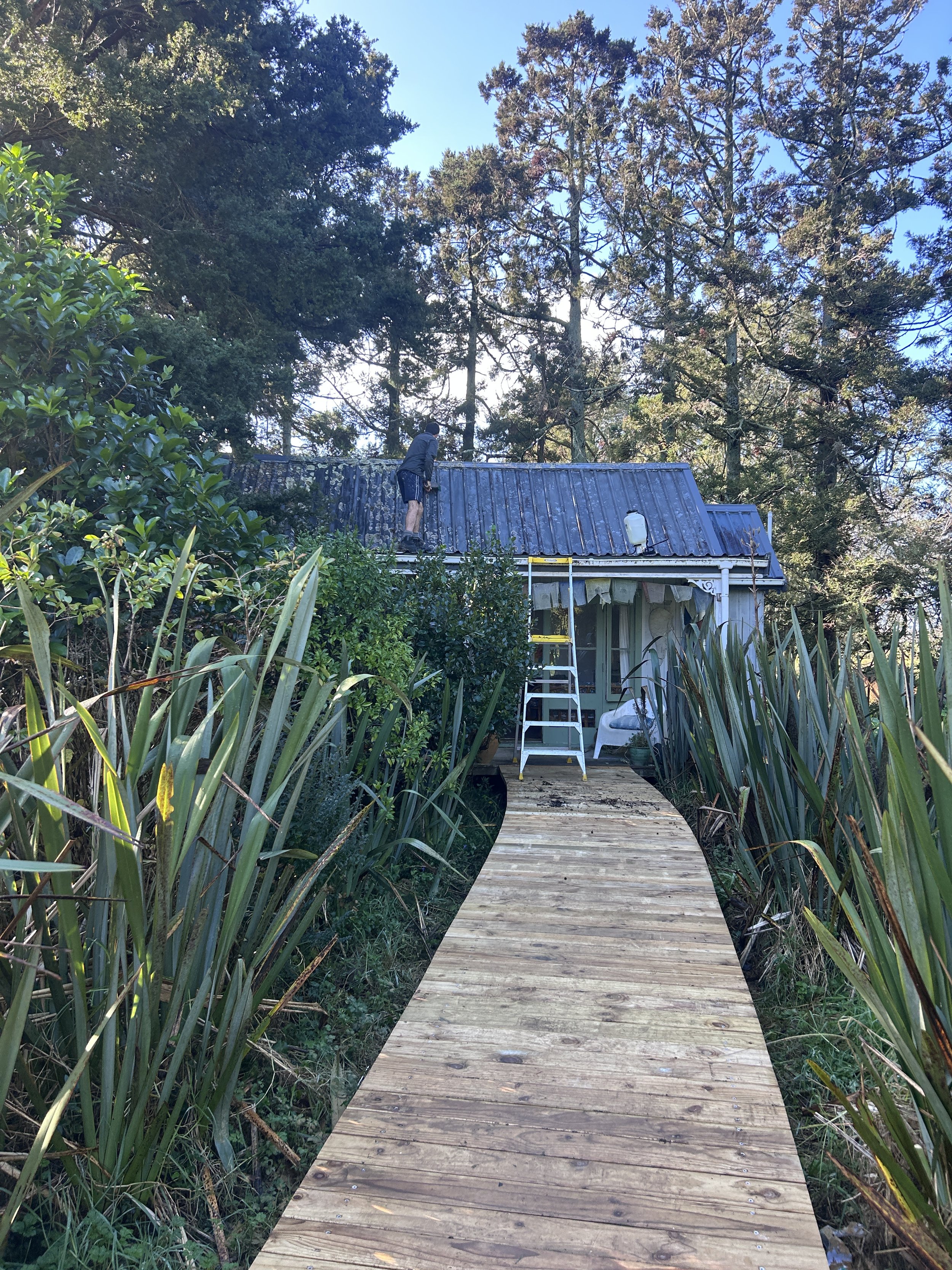 A small house with a blue metal roof is partially visible behind dense green bushes and tall trees. A person is standing on the roof, possibly doing maintenance or repairs. A wooden walkway leads to the house entrance, surrounded by lush vegetation.