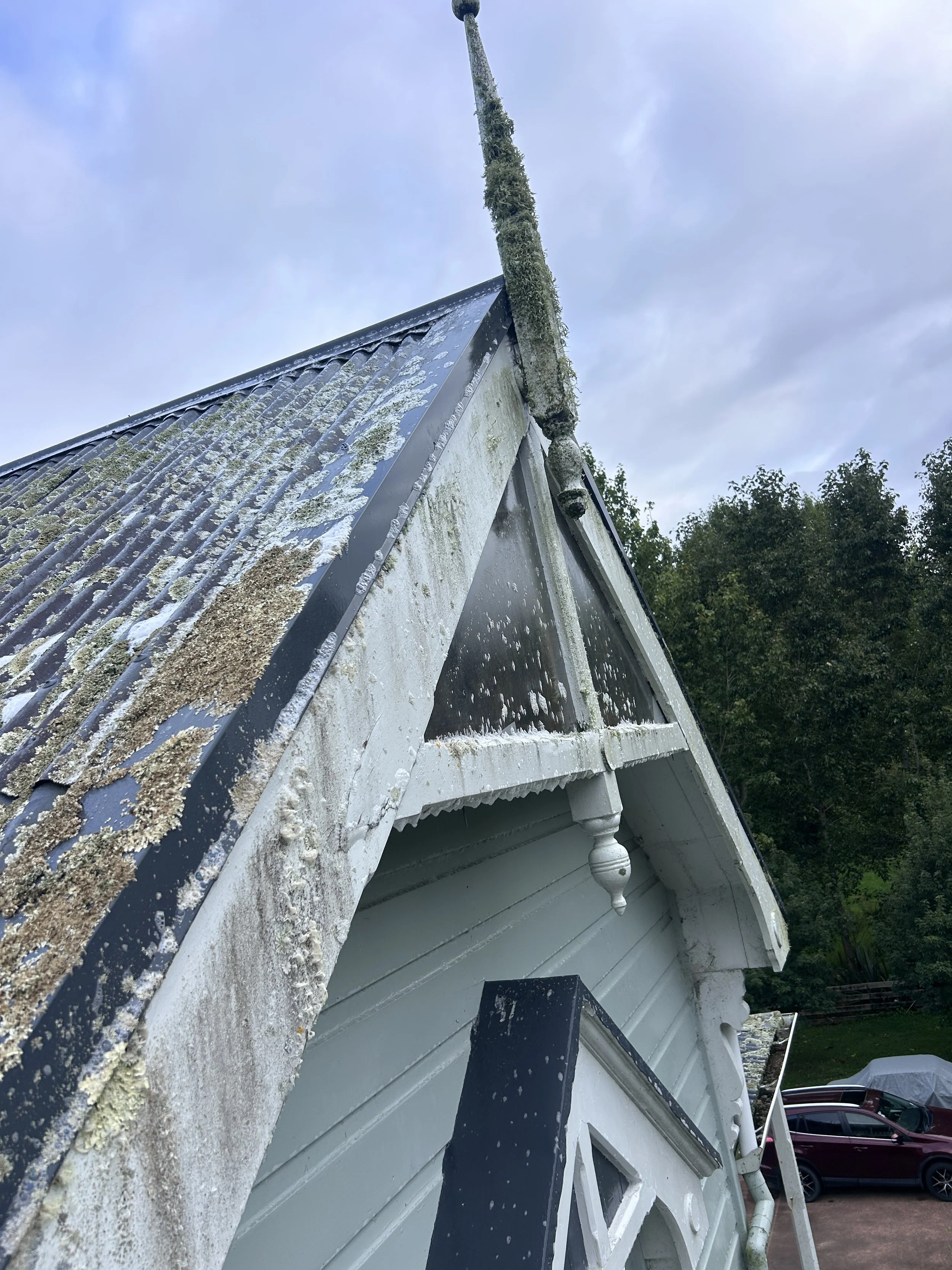 A house with a steep roof covered in algae and moss, with a TV antenna on top, showing signs of weathering and moss growth. There are trees and parked cars visible in the background.
