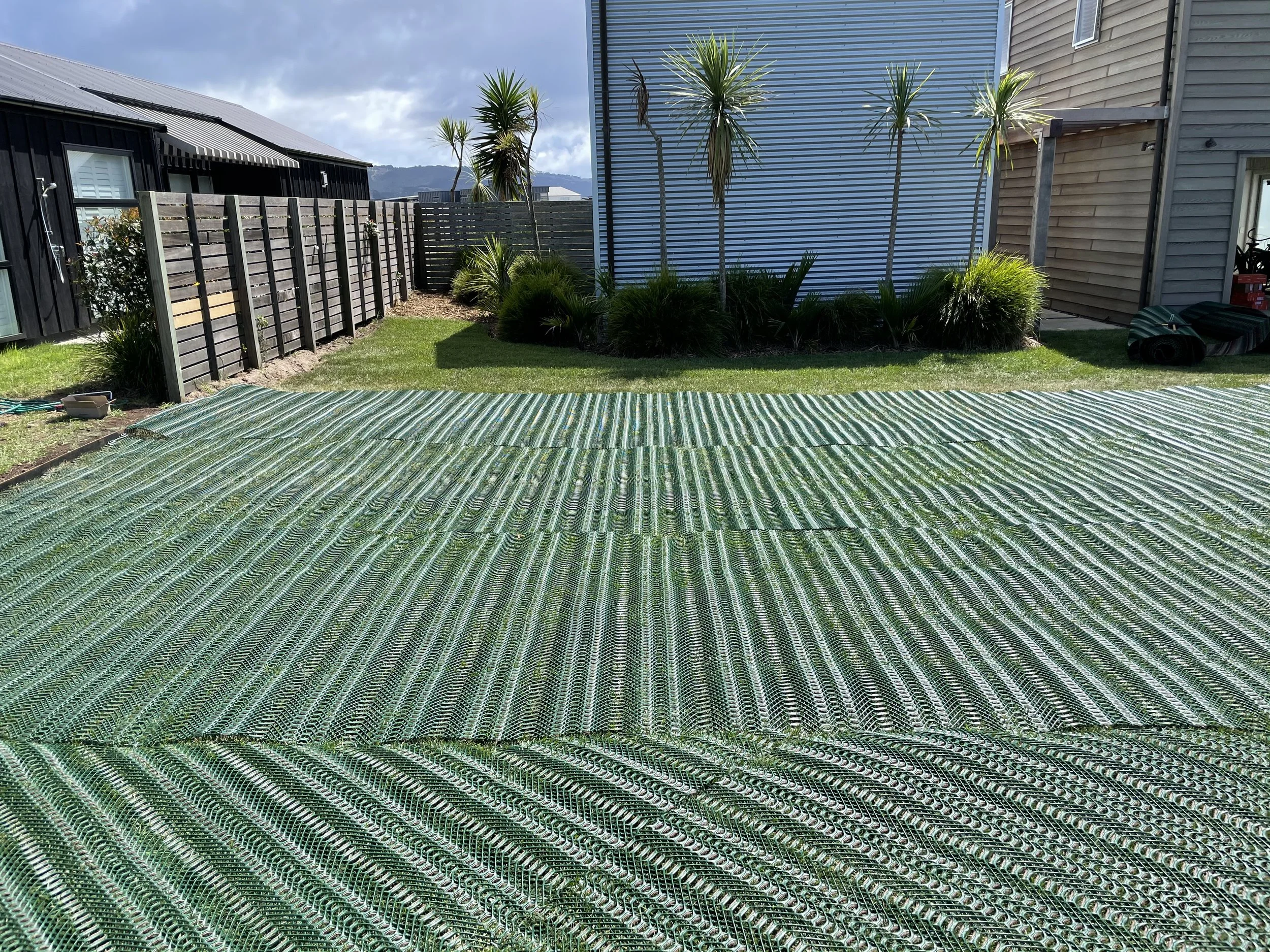 A backyard with a striped outdoor mat, grass, and several small palm trees against houses with wooden and metal siding.
