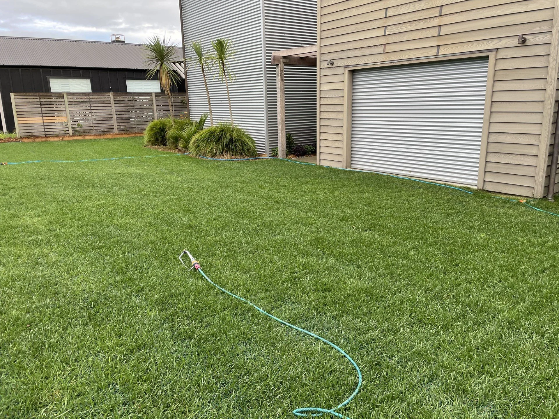 Backyard with green grass, ornamental plants, a wooden fence, and a building with corrugated metal siding and a garage door.