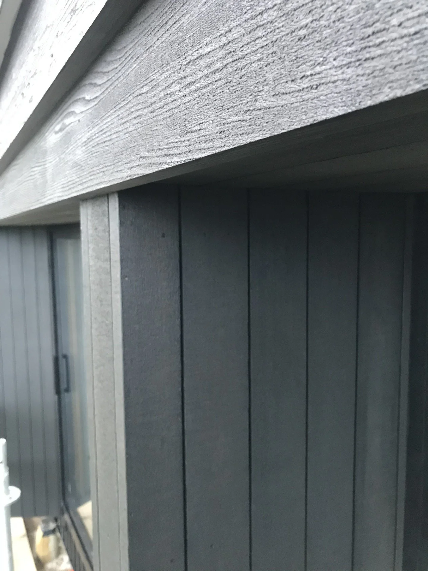 Waipu Cladding Tiny Home 2.jpeg