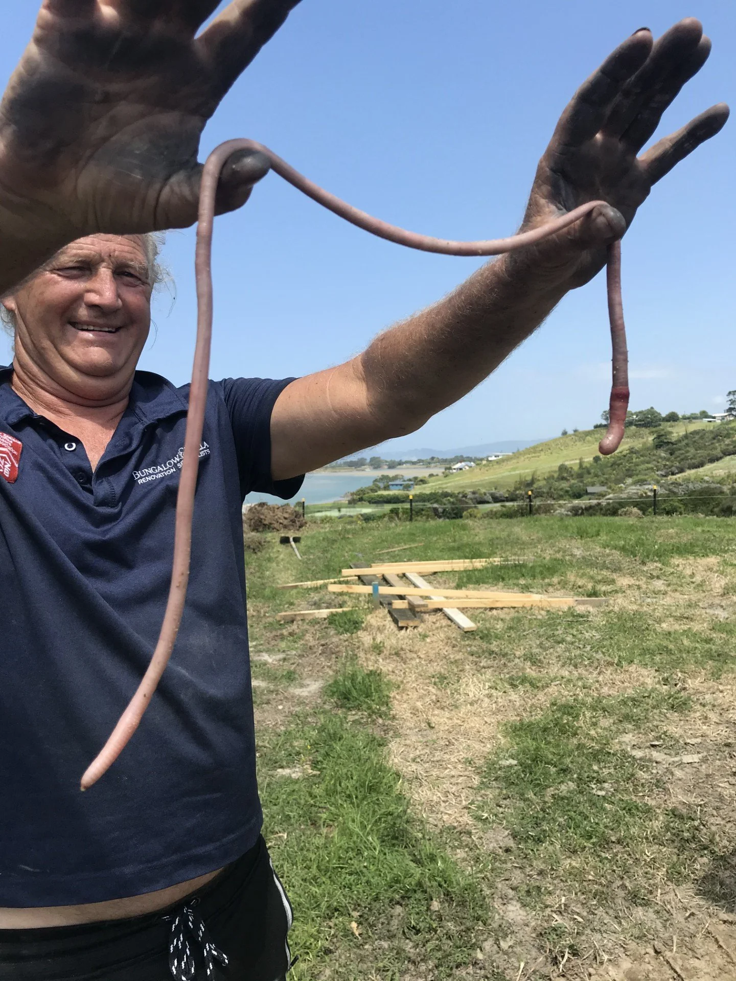 Waipu Project - Earth Worms.jpeg