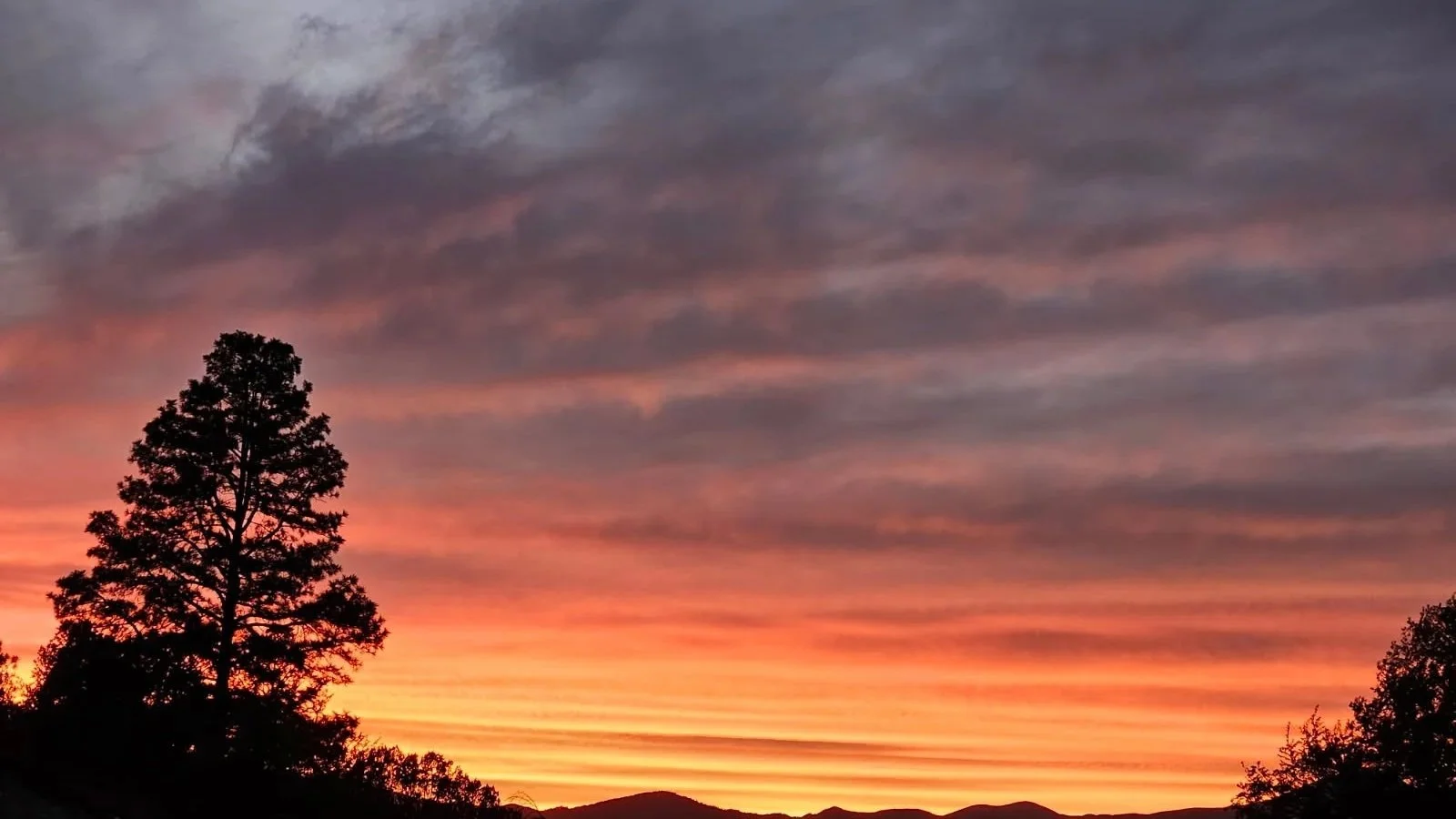 Colorful sunset with a tree silhouette and layered clouds in the sky.