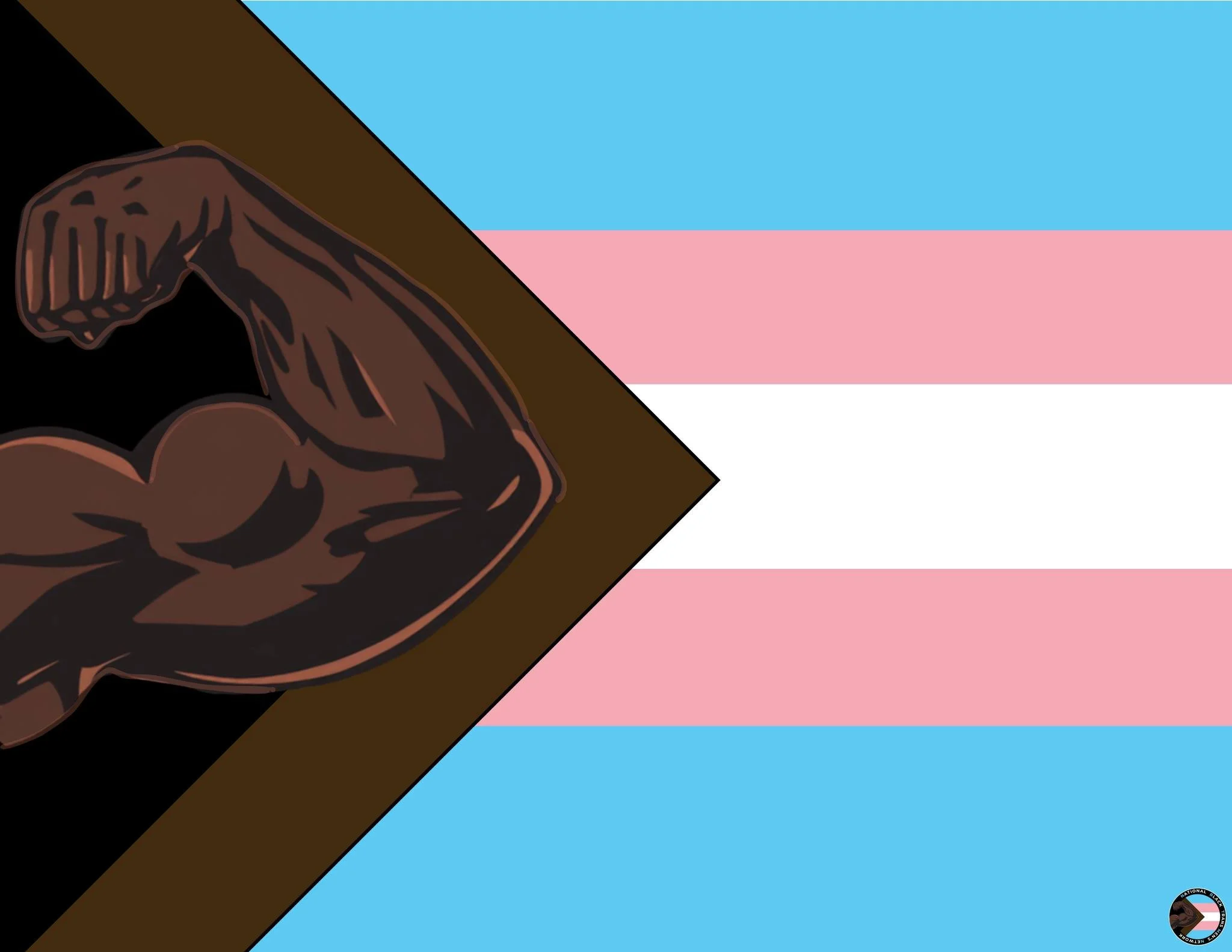The Black Trans Man/Masc Flag ( 2026 )

In 2026,  Tee Douglas, founder of The National Black Trans Men's Network created the Black Trans Man/Masc Flag as a symbol honoring the lives, histories, and futures of Black transgender masculine people. 

The