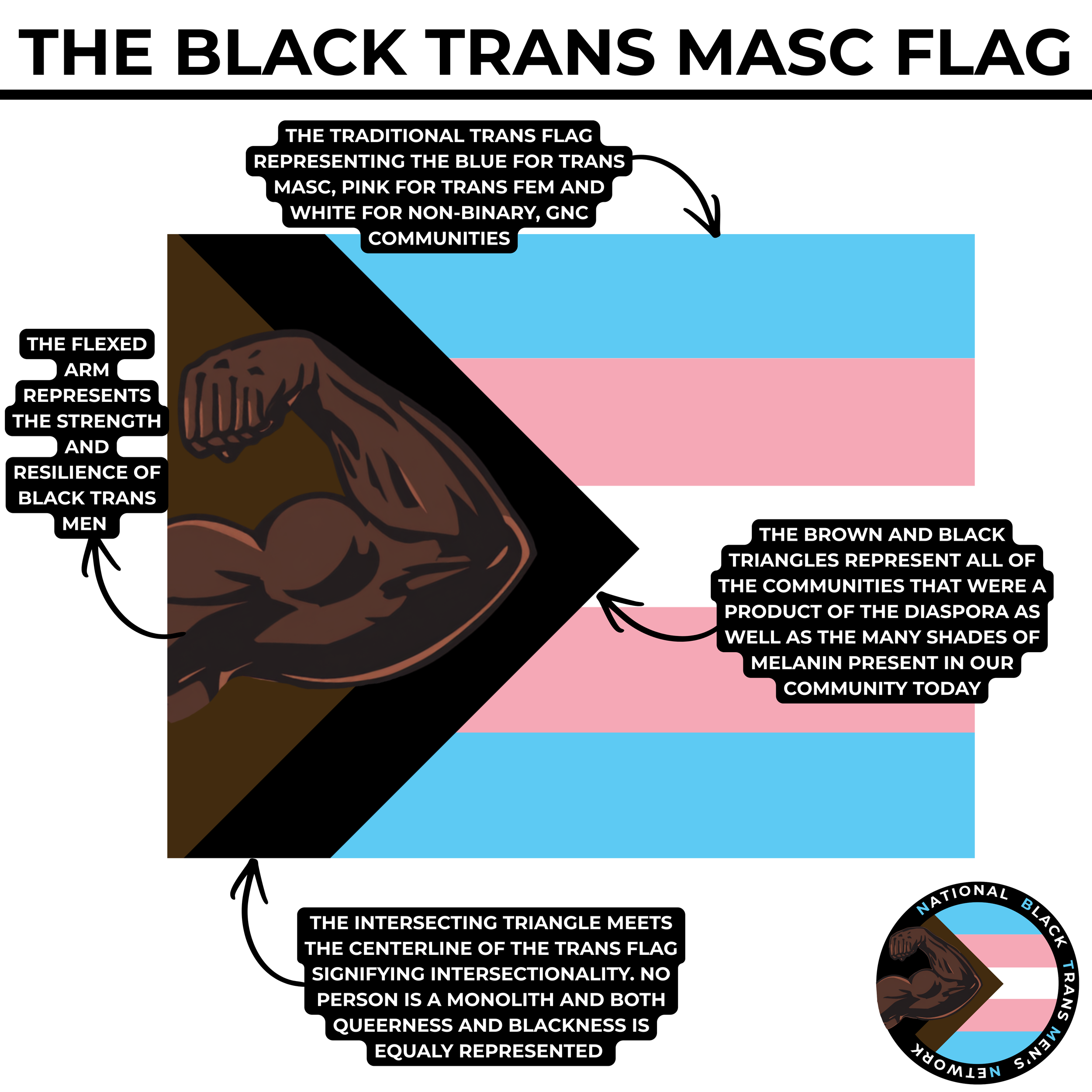 A diagram explaining the symbolism of the Black Transgender Flag. It features a black triangle representing the resilience of Black trans men, a pink triangle representing trans women, and a blue triangle for trans fem and non-binary communities. The intersecting triangles form the center of the trans flag, depicting intersectionality, identity, community, and resilience.