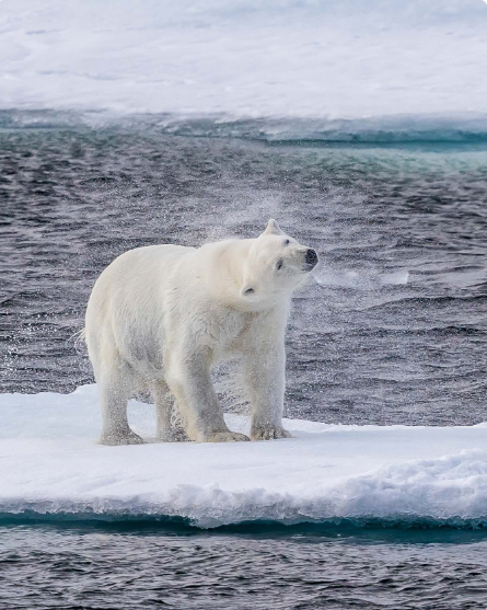 Northwest Passage