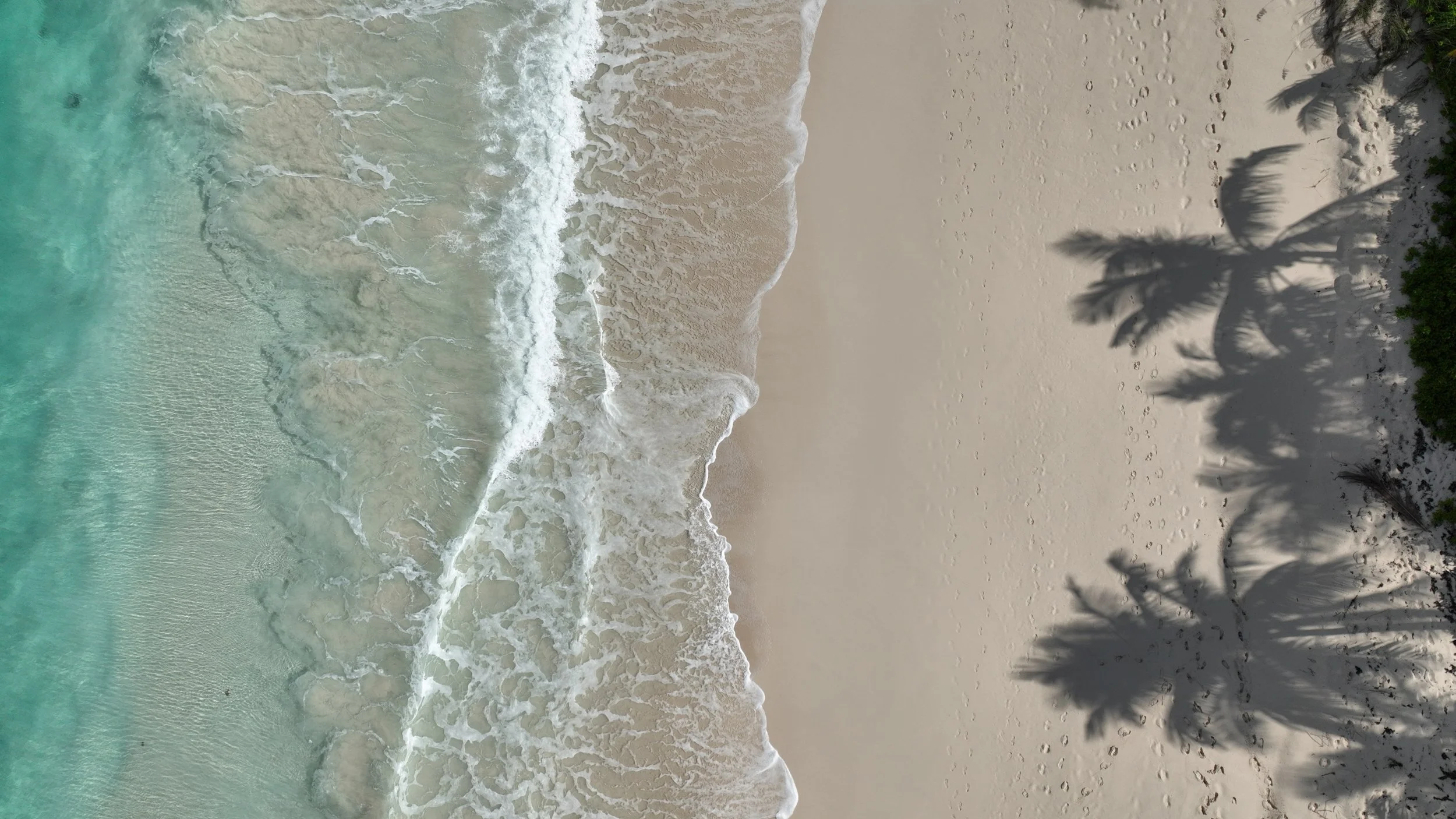Bahamas.jpeg