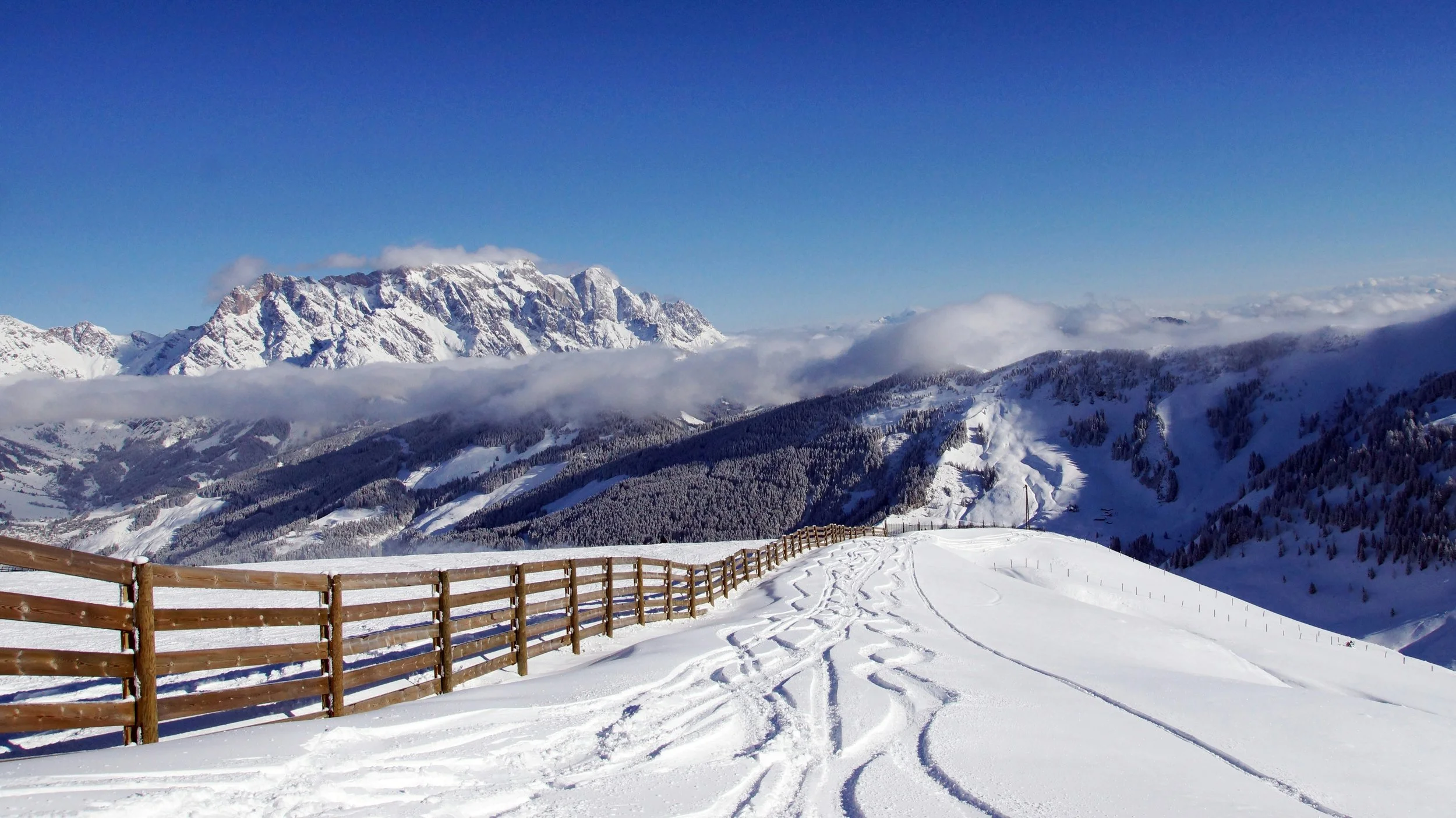 Skiing the World.jpg