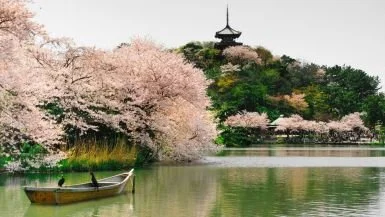 Japan.jpg