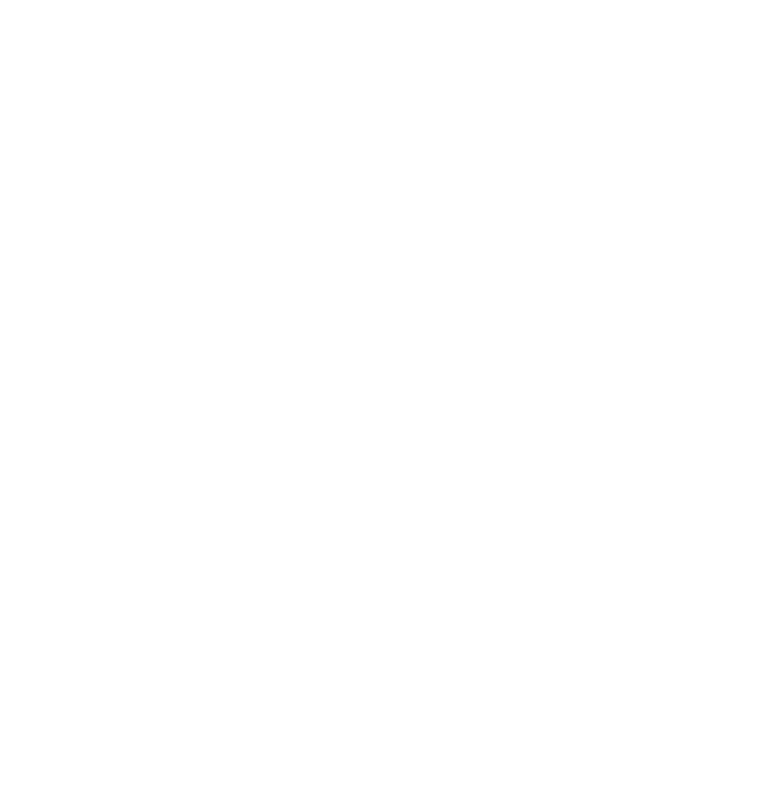 South Island Respiratory & Sleep White Logo Icon