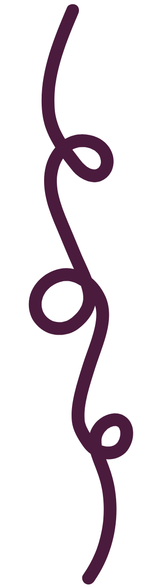 a dark purple line with winding loops