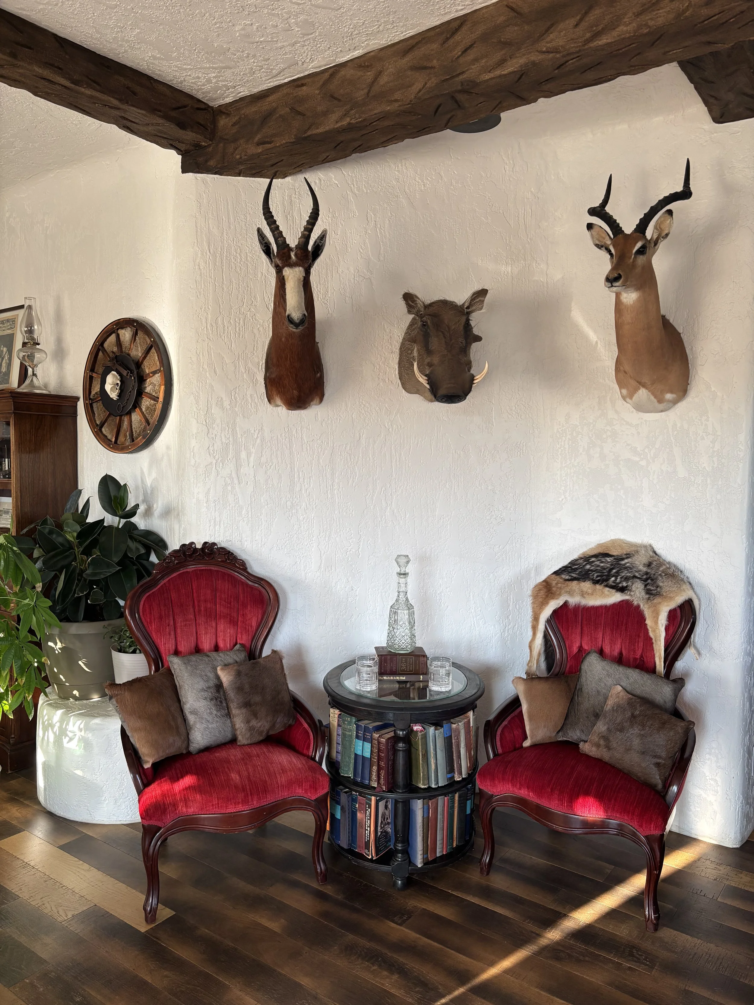 Two red velvet armchairs with carved wooden frames and brown cushions arranged around a small black round table with a glass top, which holds books and glasses. A bookshelf with books is beneath the table. A plant is on the left, and a white textured