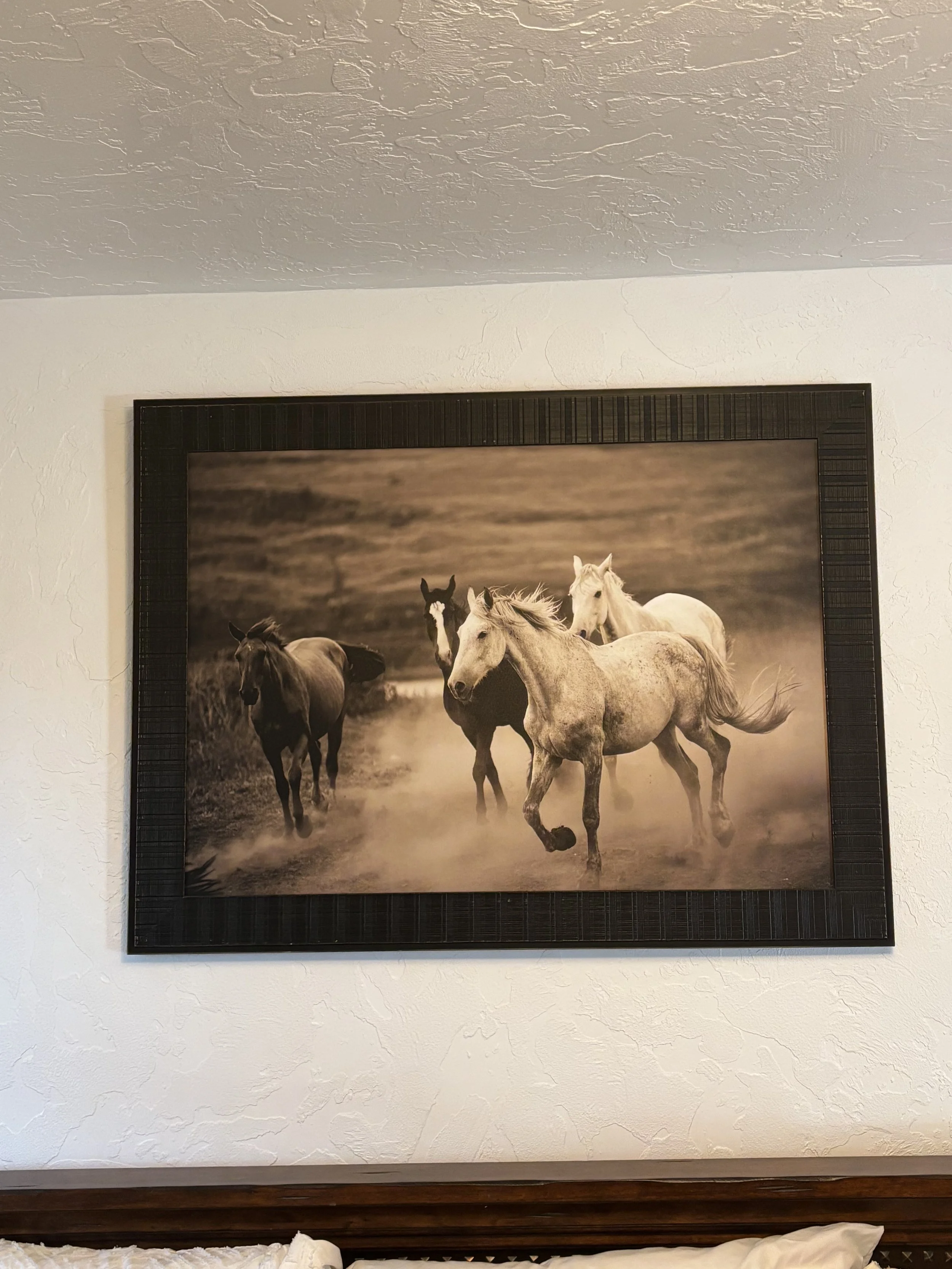 Framed photograph of several white and dark horses running in an open field with a blurred background.
