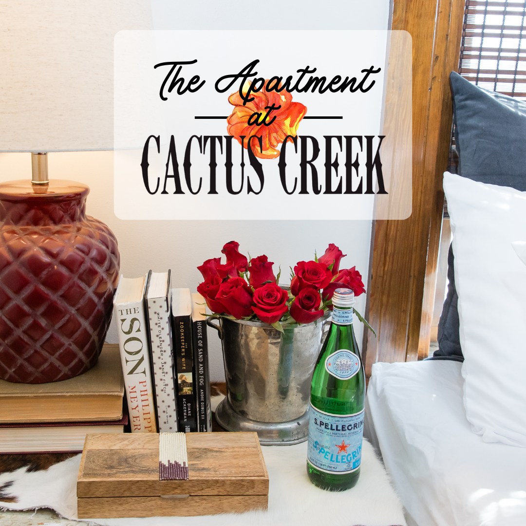 The Apartment at Cactus Creek - the AirBnb