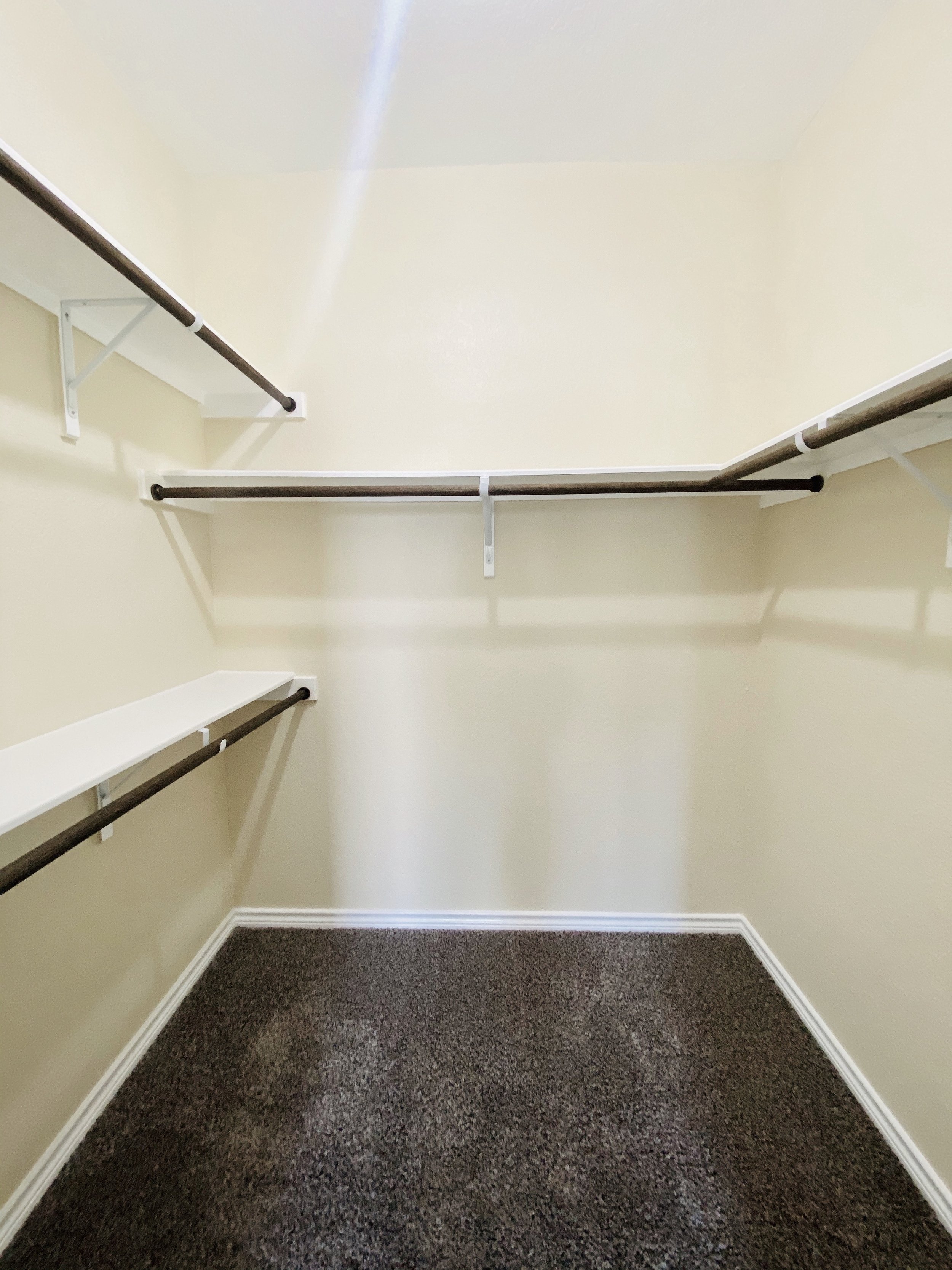 An empty walk-in closet with beige walls, white shelves, and dark brown carpeted floor.