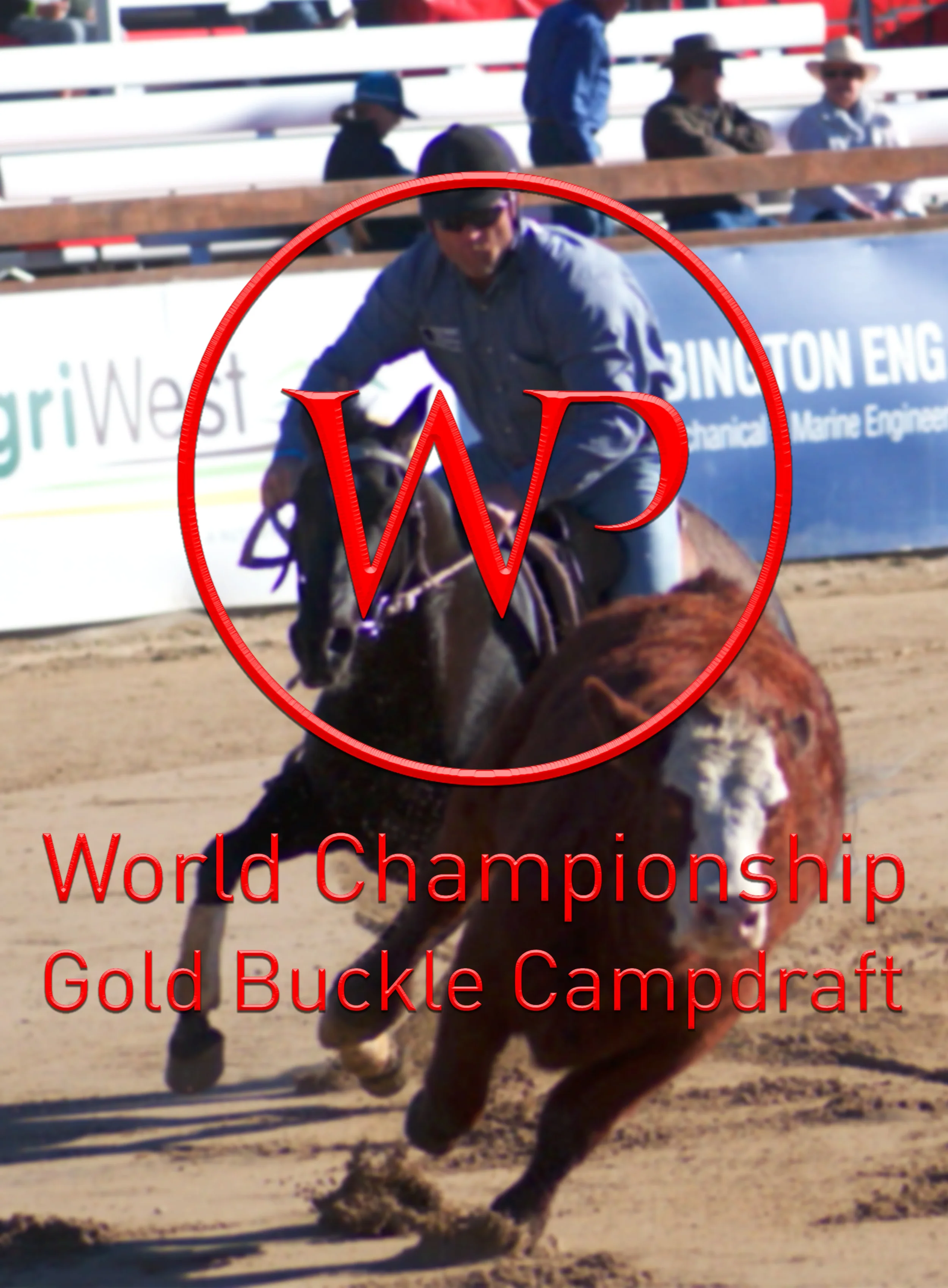 VOLKSWAGON GOLD BUCKLE CAMPDRAFT