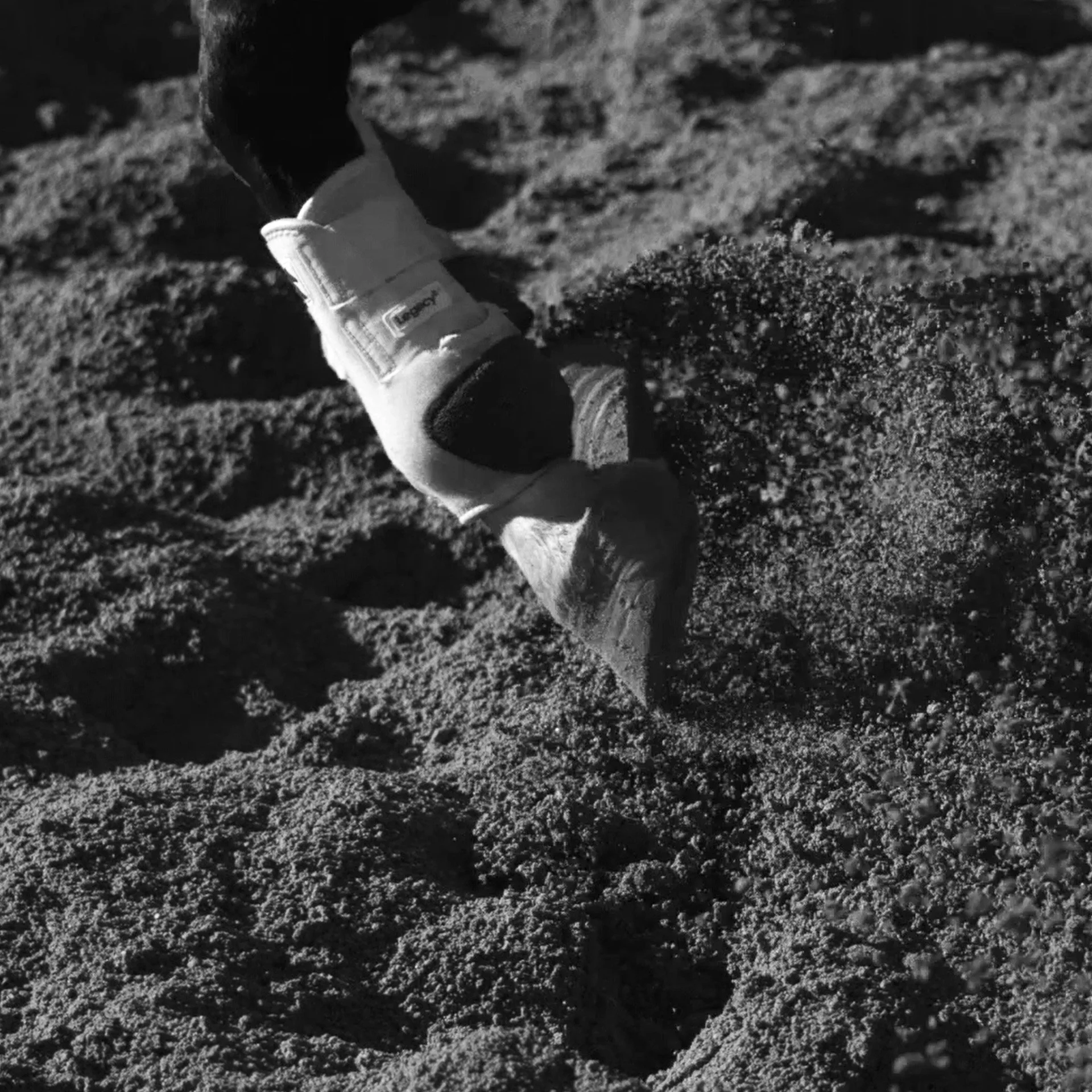 Untitled-26.jpg