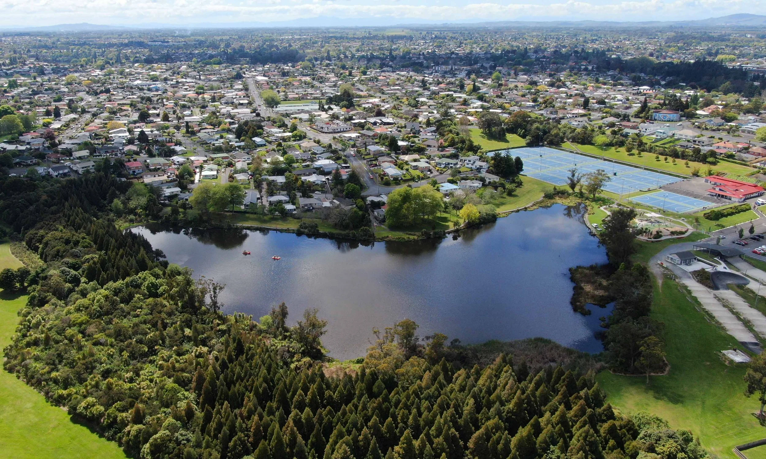 WKO_Forest_Rotokaeo_Image1David G. Schmale.jpg