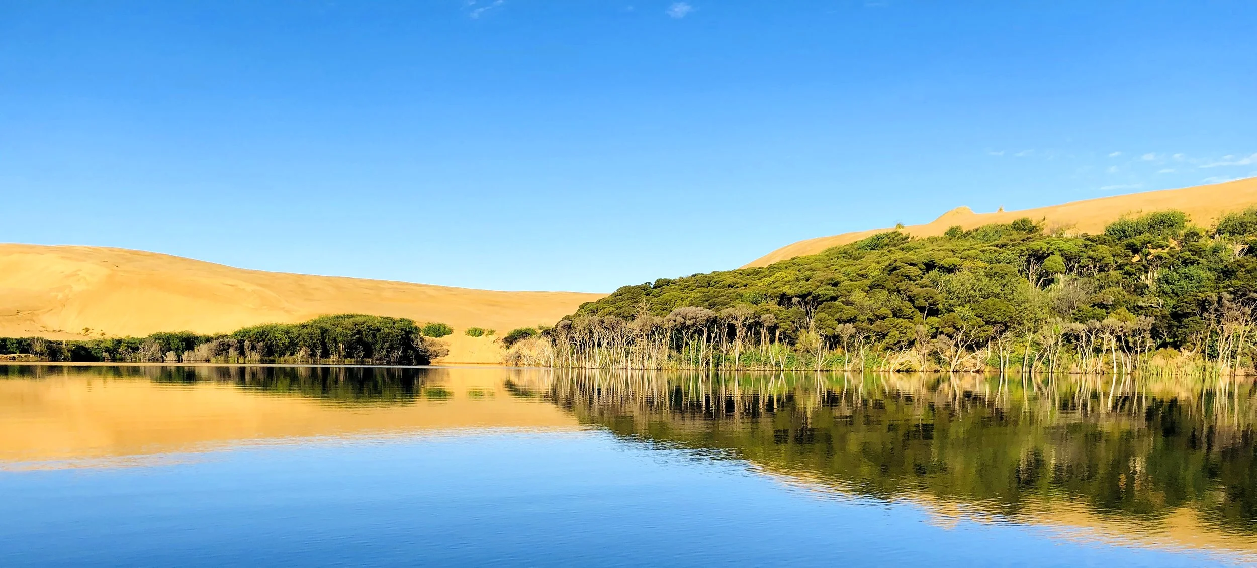 NTL_LakeWaiRaupo_21434_4_lake.jpg