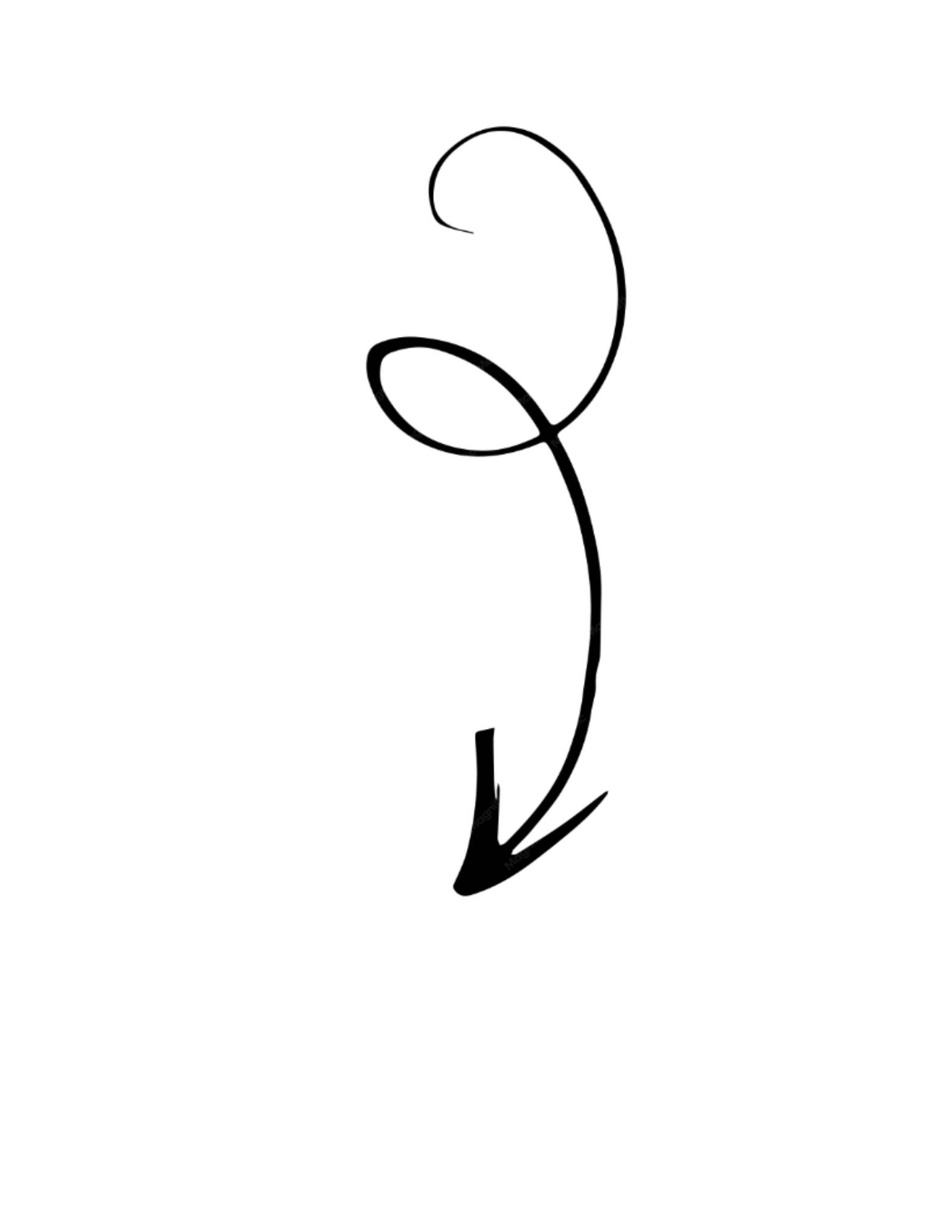 Decorative arrow pointing toward product screenshots