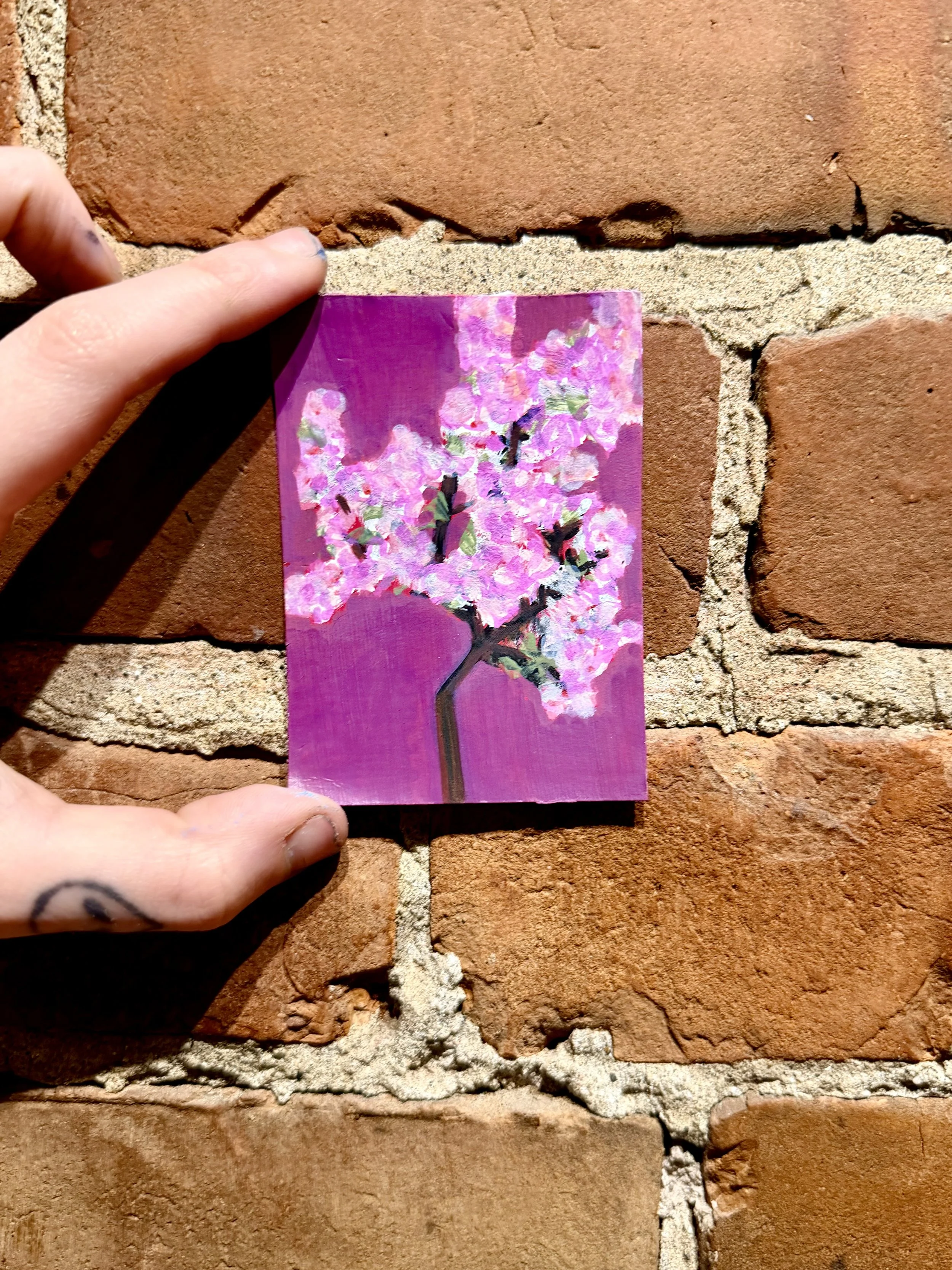 Cherry Blossom Tree