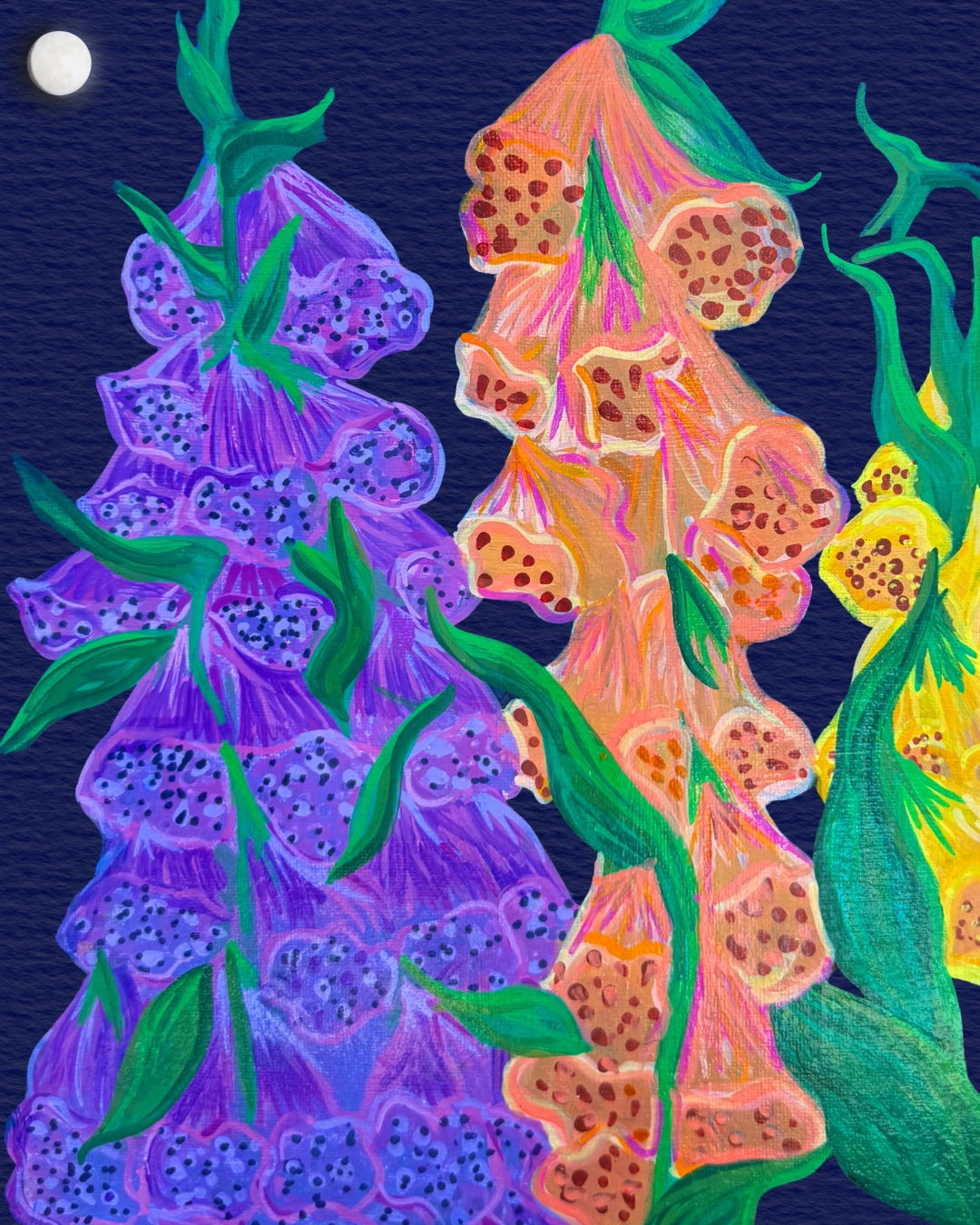 Foxgloves - Acrylic on 11x14 canvas.
