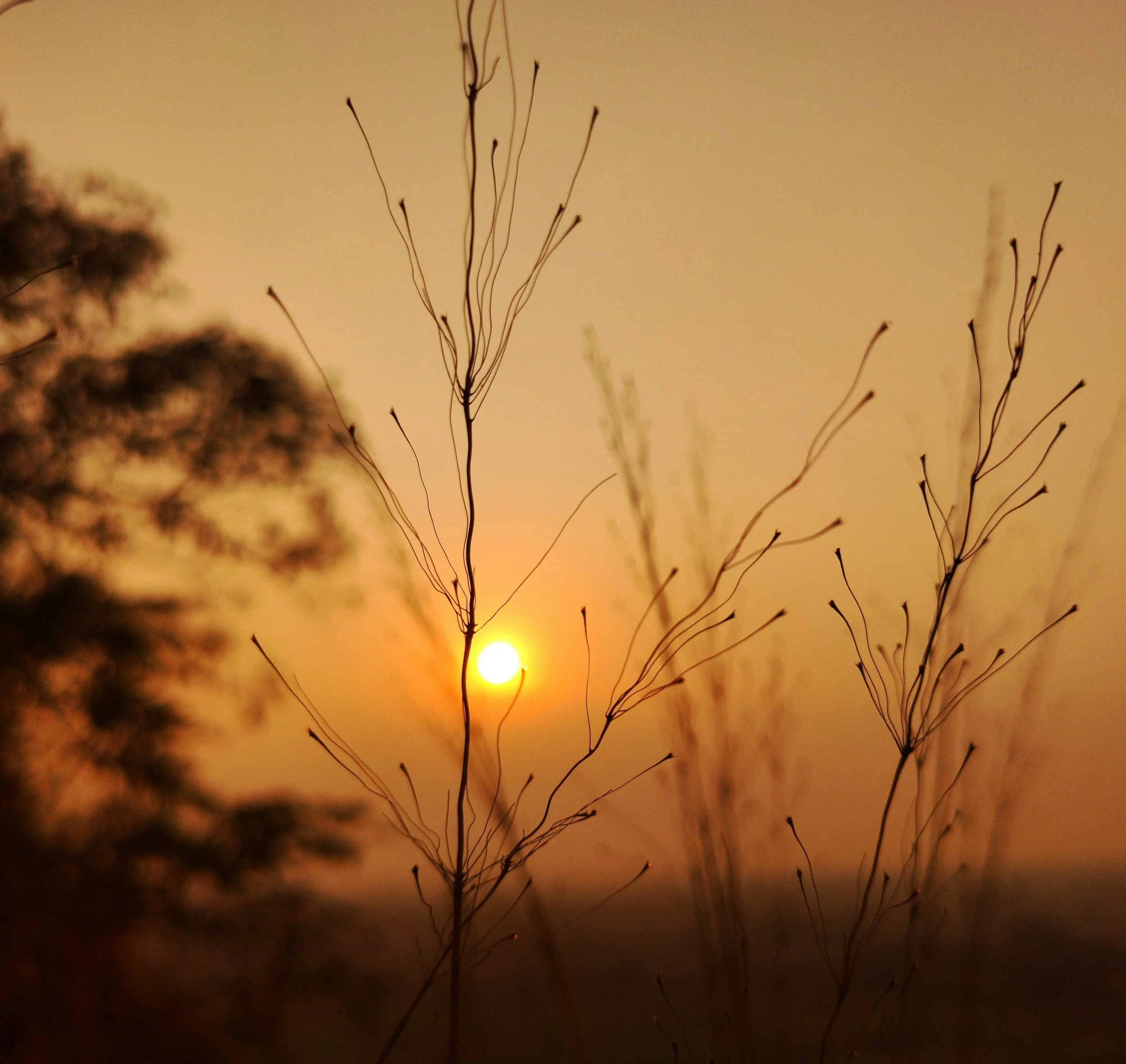 Sunset in Santa Cruz County, California