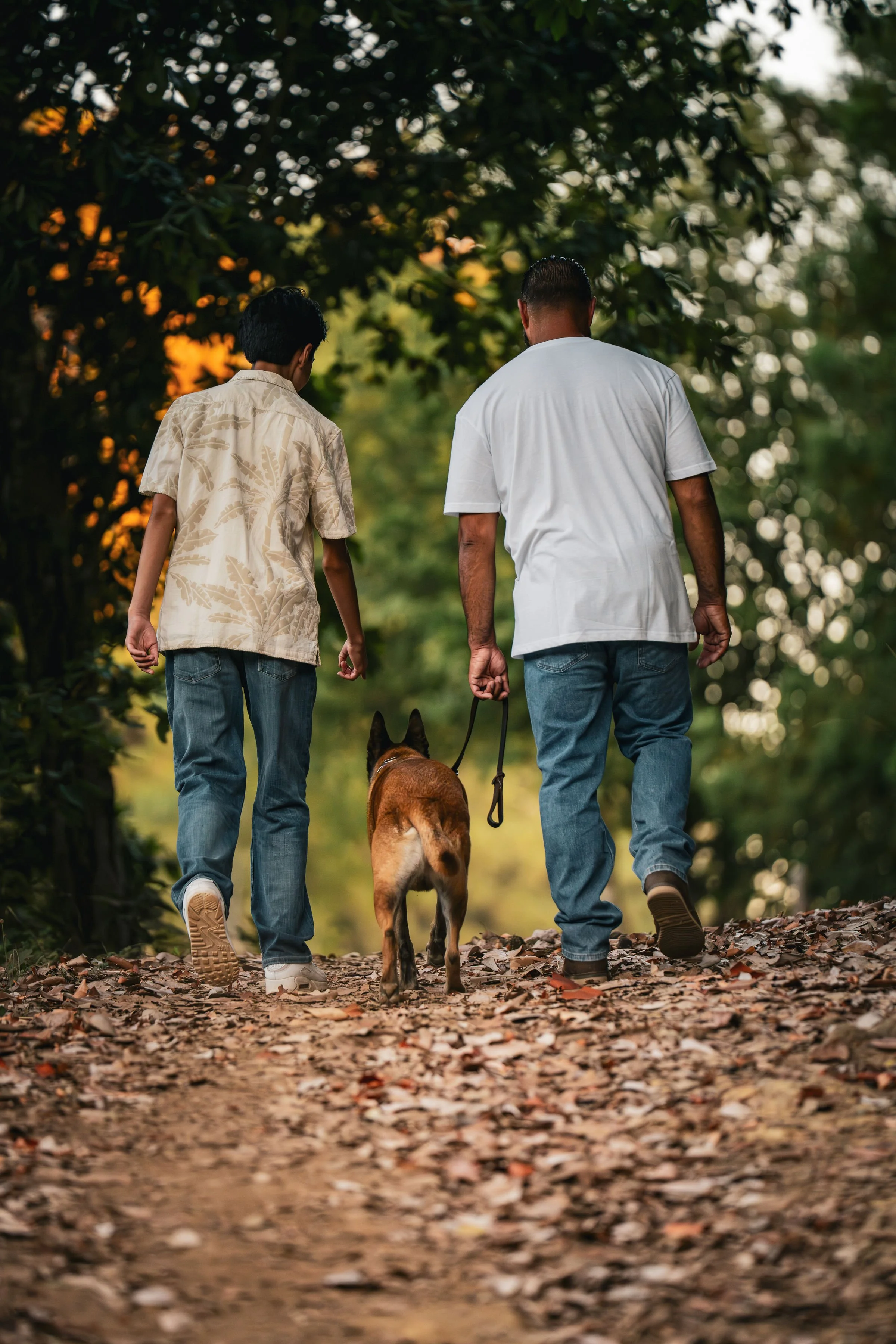 Two men walking with a dog along a wooded trail covered with fallen leaves during sunset.