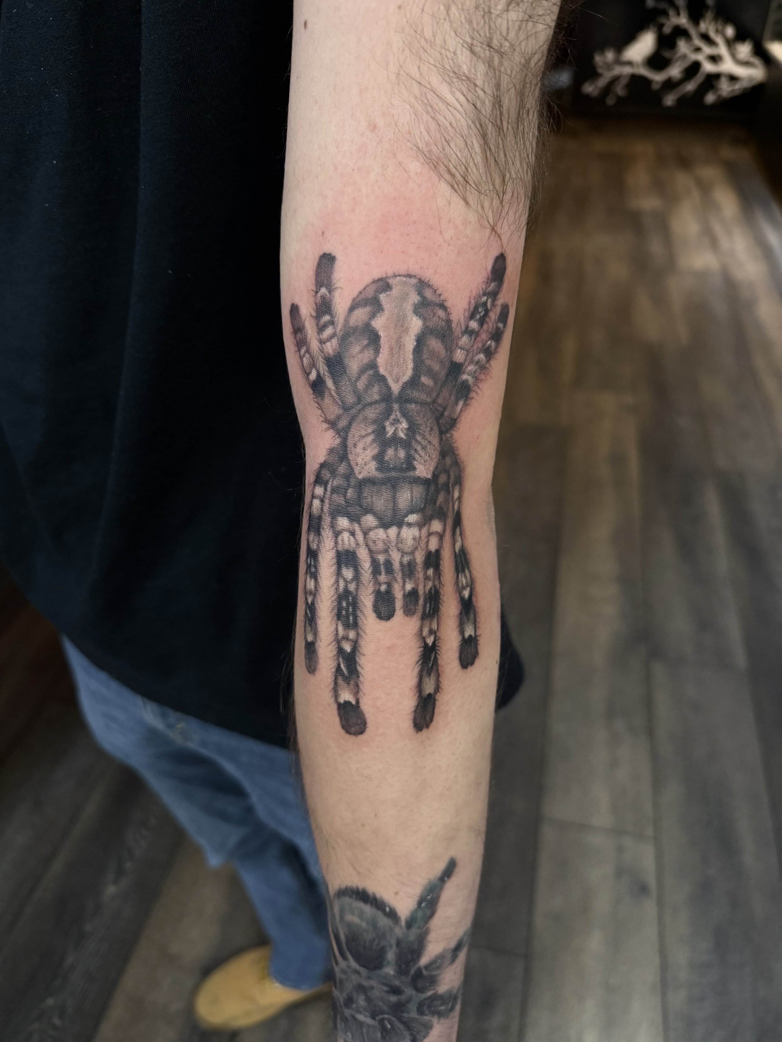 Close-up of a person's arm with a detailed black and gray tattoo of a spider.
