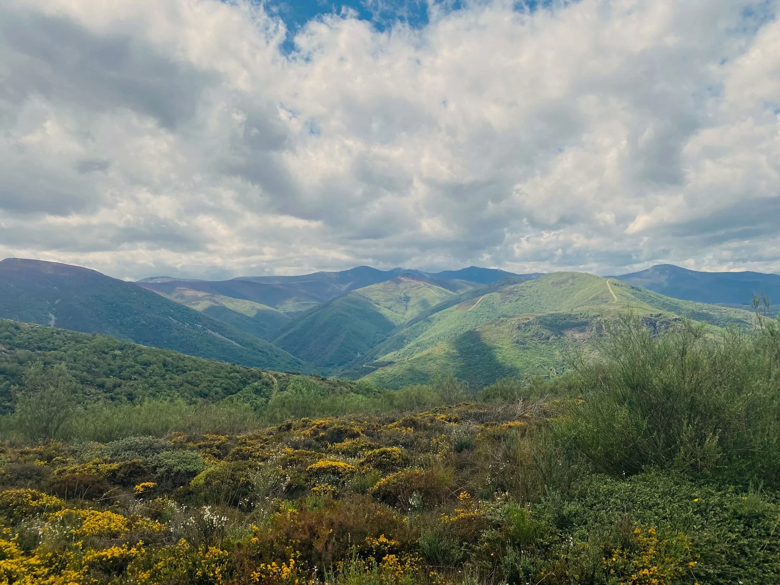 Rolling green hills under a partly cloudy sky with patches of blue, and some flowering bushes in the foreground.