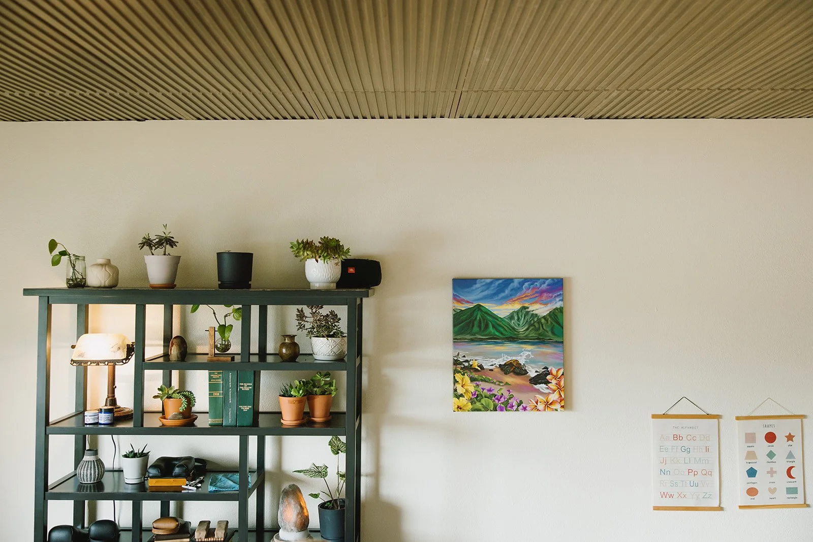 A room with a dark green bookshelf filled with potted plants, books, and decorative items. Brand and lifestyle photography session for Abundant Life Chiropractics in Maui, Hawaii by Rhianon Brown Photography.