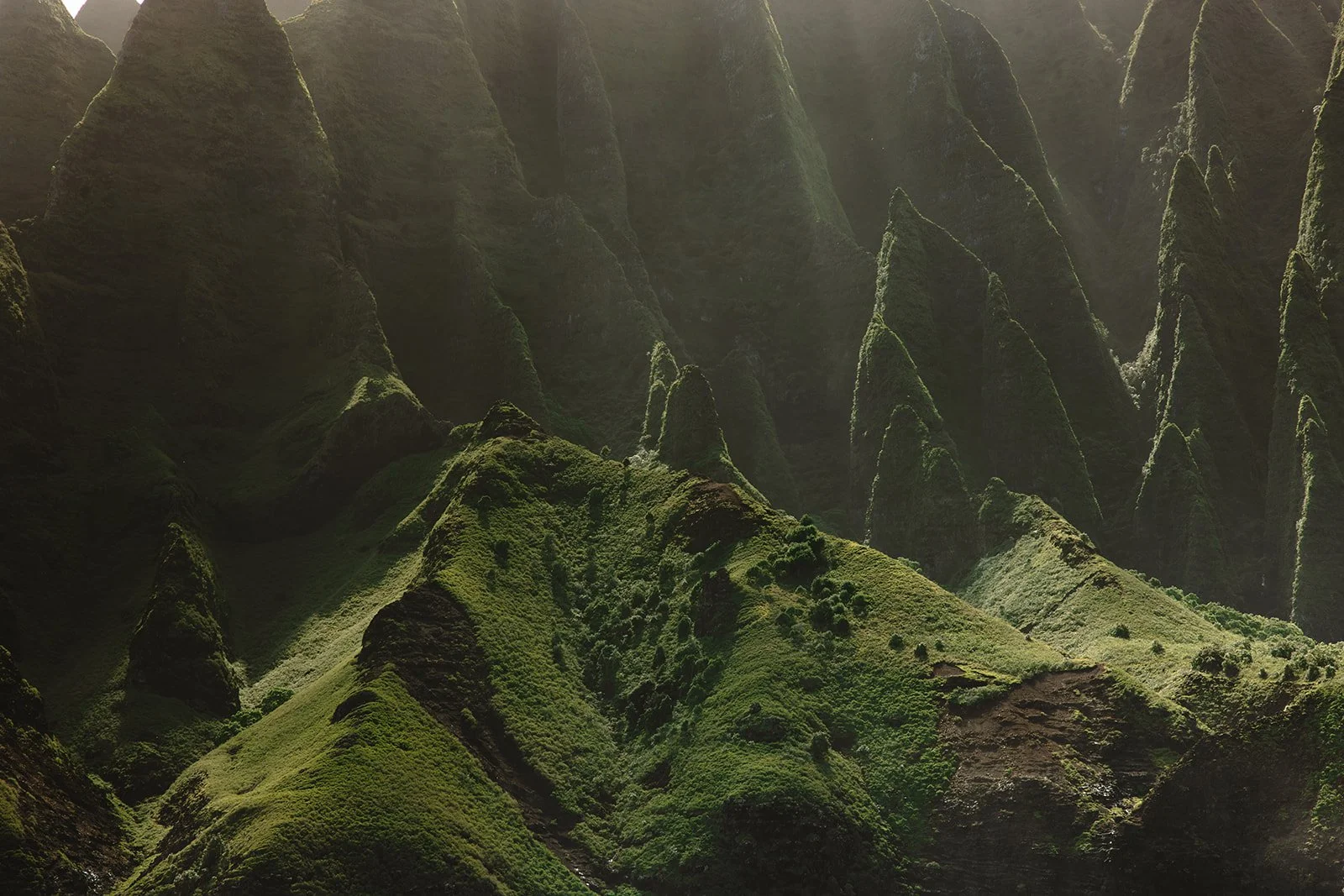Green mountainous landscape with steep ridges and valleys, covered in grass and moss, with sunlight illuminating the scene from above. Brand and travel photography session for Holo Holo Charters in Kauai, Hawaii by Rhianon Brown Photography.