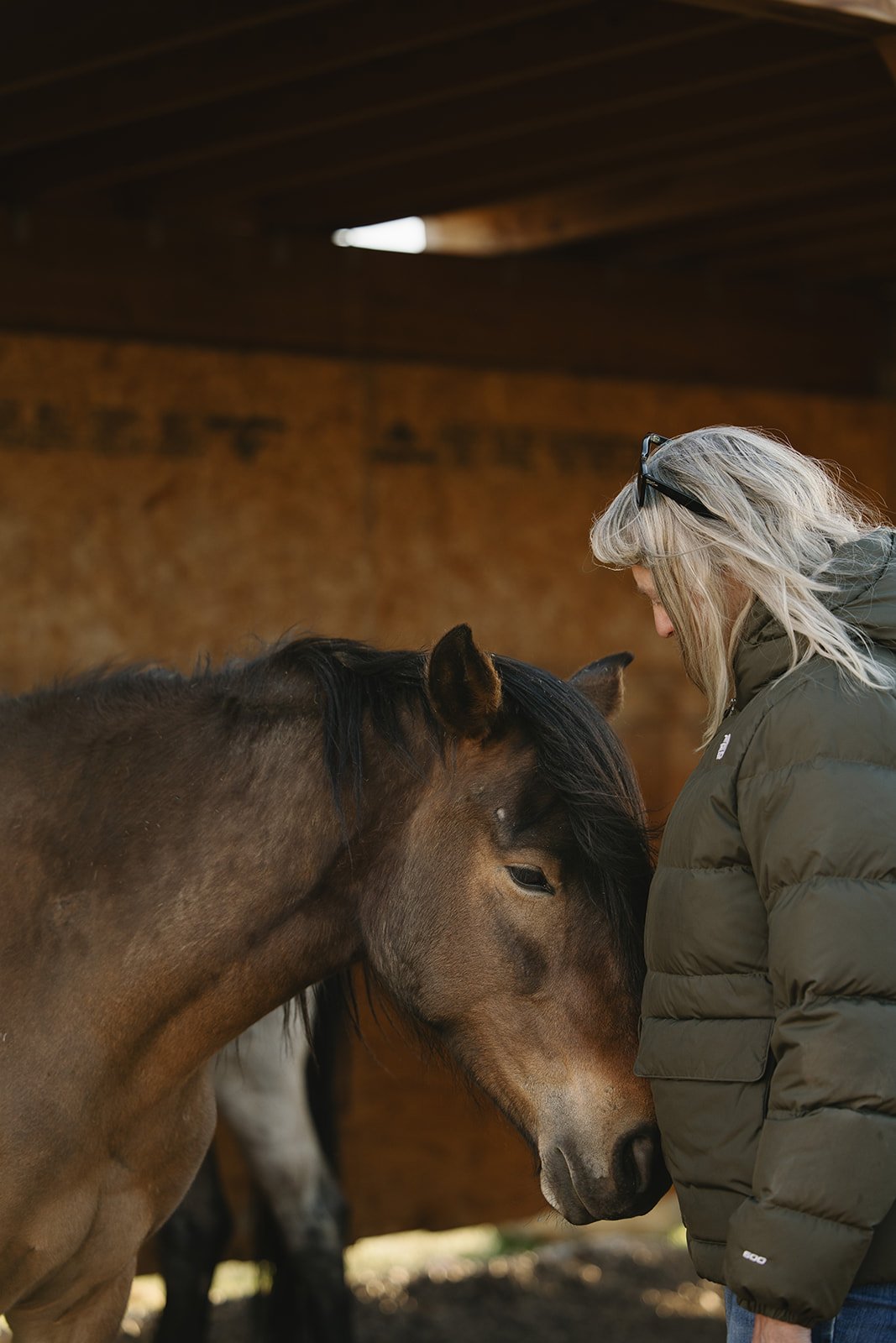 A woman with blonde hair wearing glasses and a green jacket is gently touching the face of a brown horse inside a stable. Rhianon Brown Photography's brand photoshoot for Grace Reins Equine Therapy in Colorado.