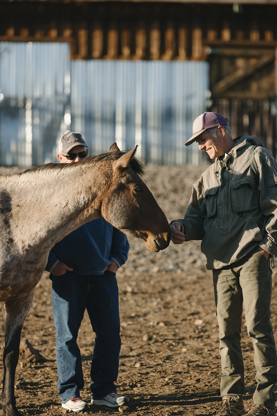 Two men, one with sunglasses, shaking hands with a horse in an outdoor setting with a dirt ground and a barn in the background. Rhianon Brown Photography's brand photoshoot for Grace Reins Equine Therapy in Colorado.