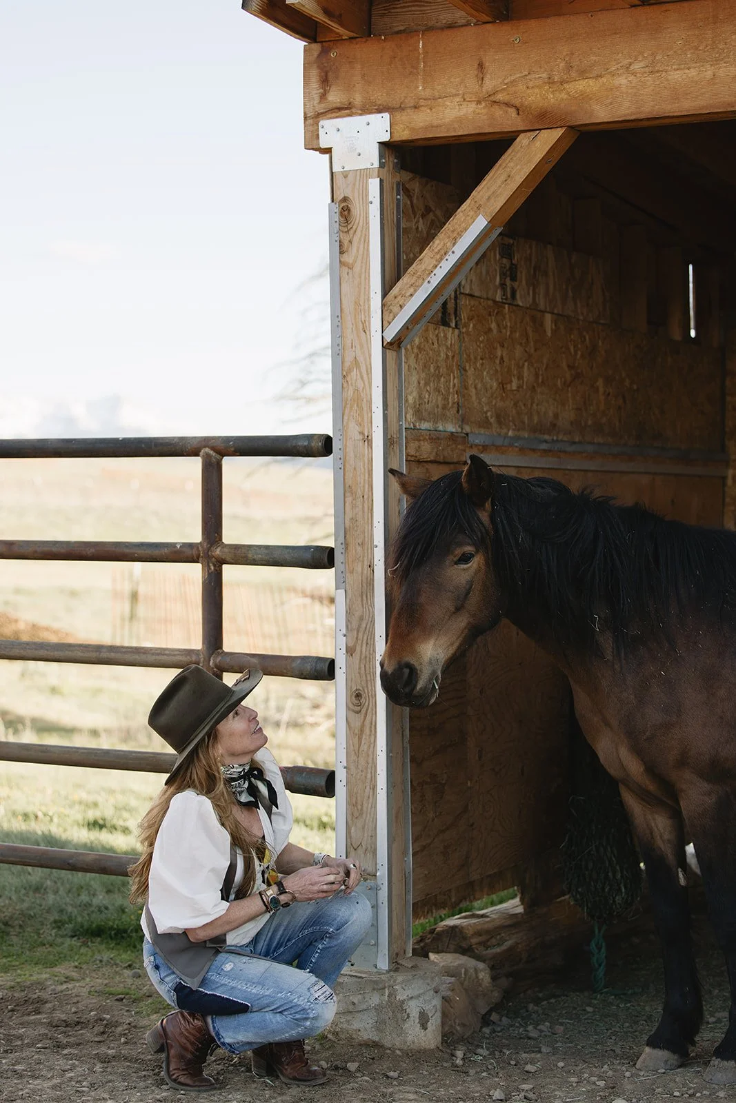 Brand photoshoot for grace reins equine therapy by rhianon brown photography
