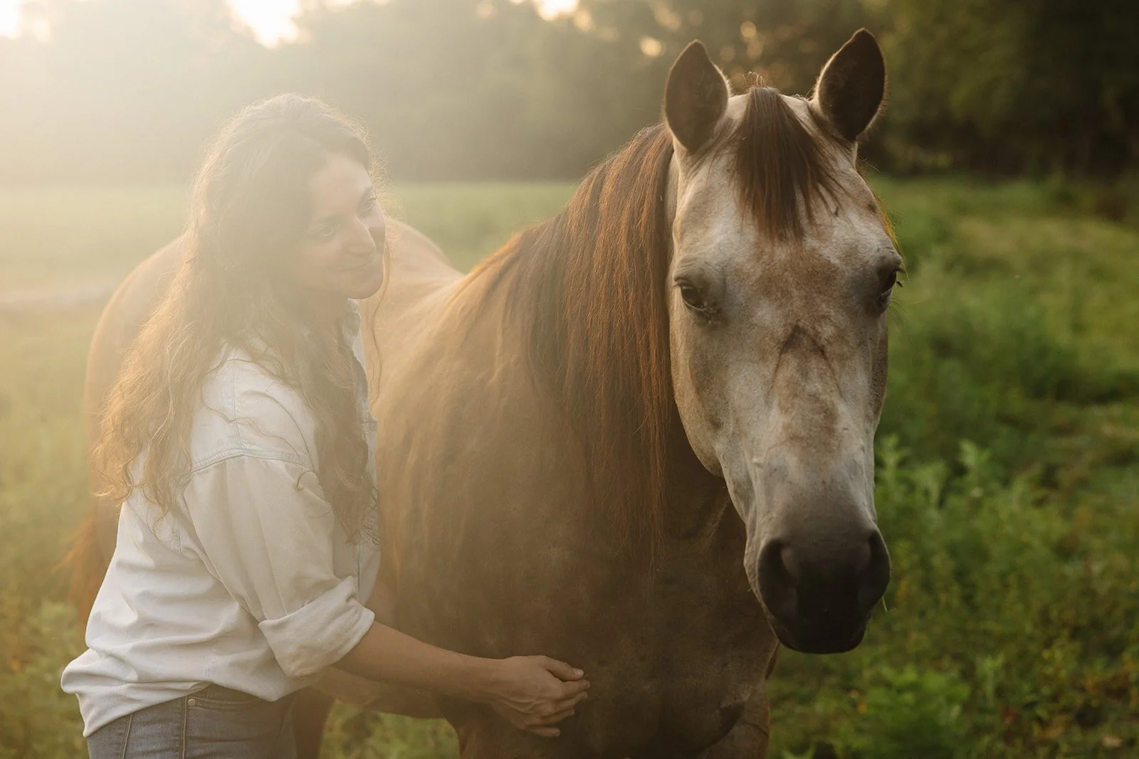 brand photography for sacred align equine by rhianon brown photography