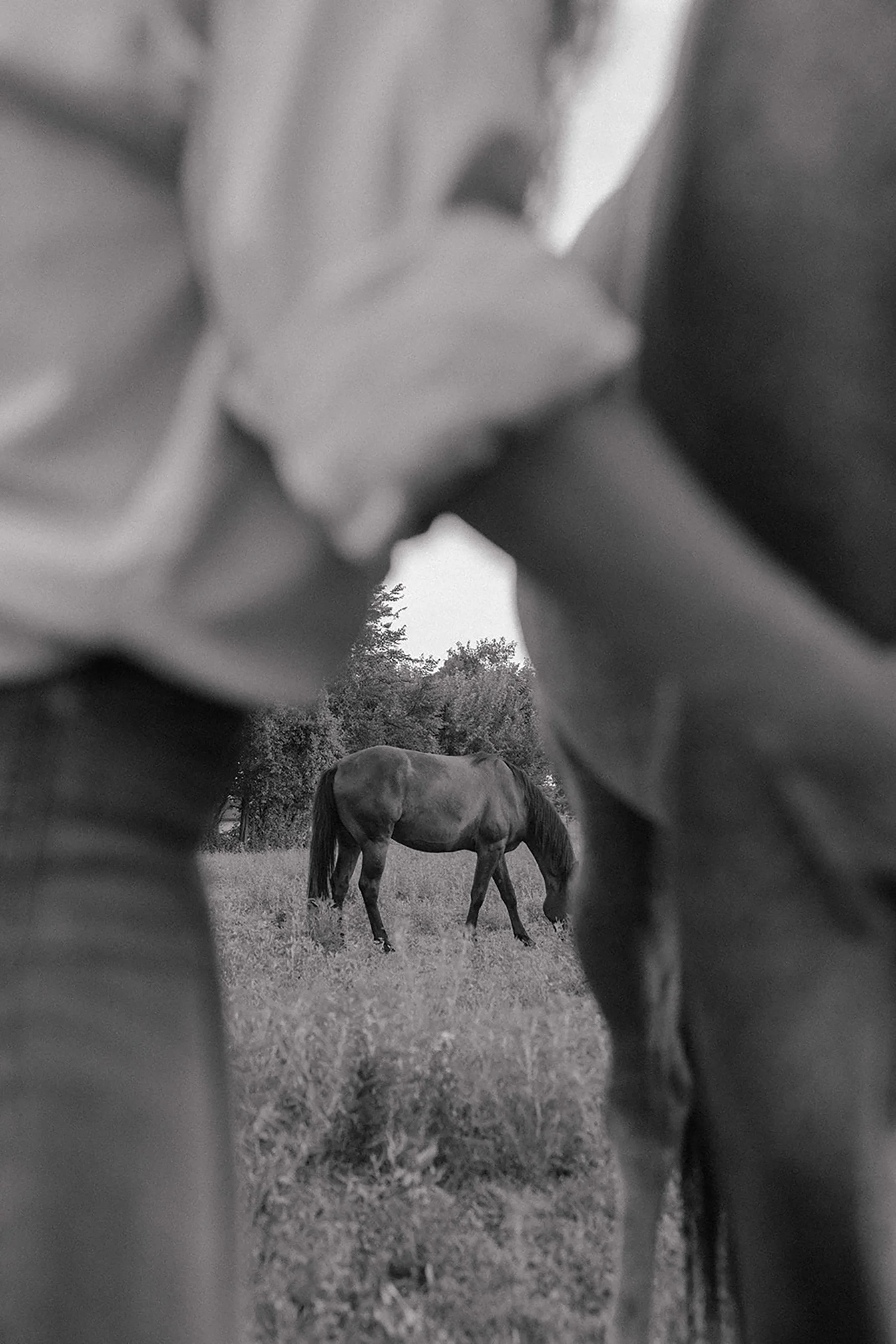 Brand photography session for Sacred Align Equine by Rhianon Brown Photography