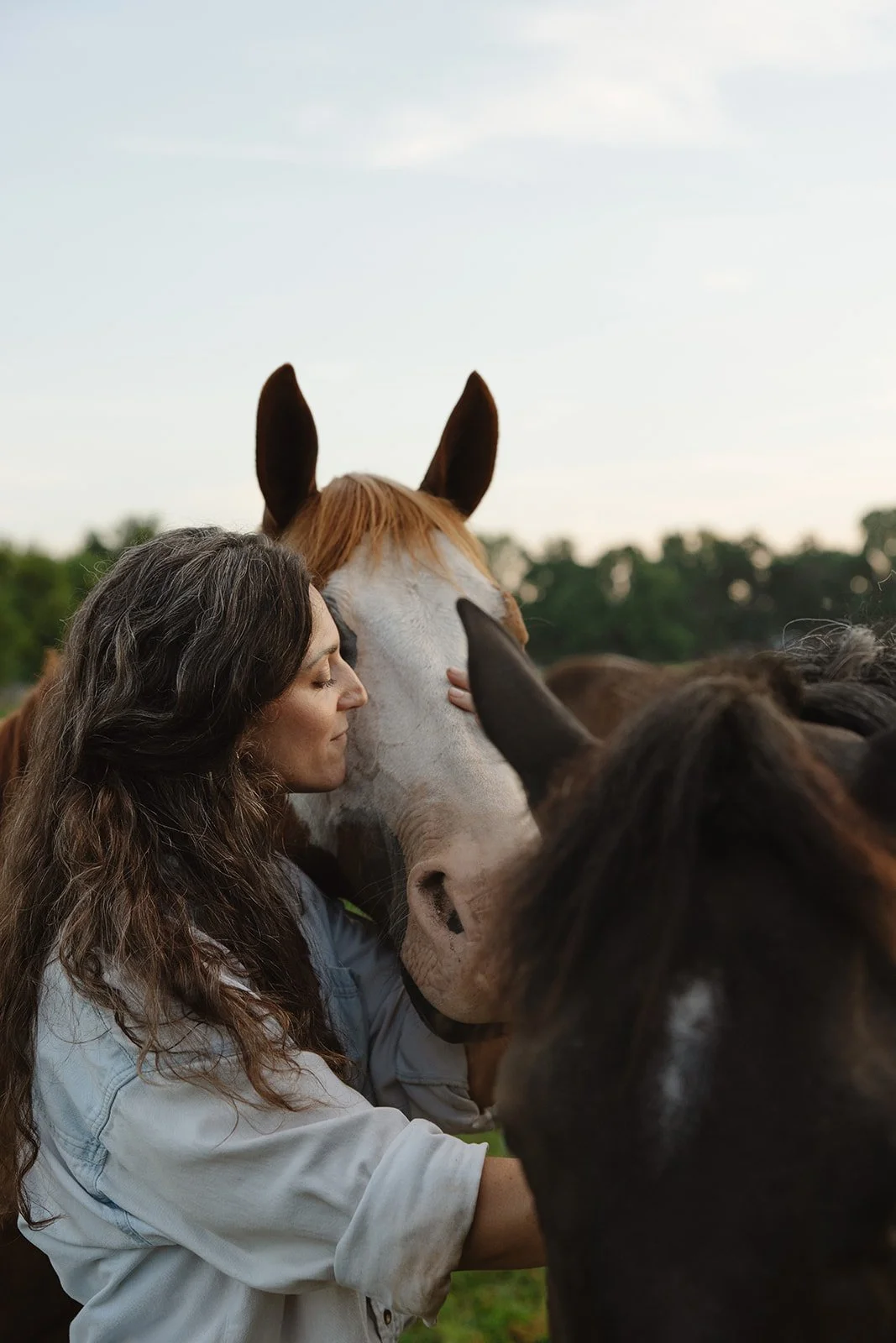 A woman with long brown hair hugging a white horse with brown mane while another dark brown horse is close by on a green field with trees in the background.  Brand and lifestyle photography for Sacred Align Equine by Rhianon Brown Photography.