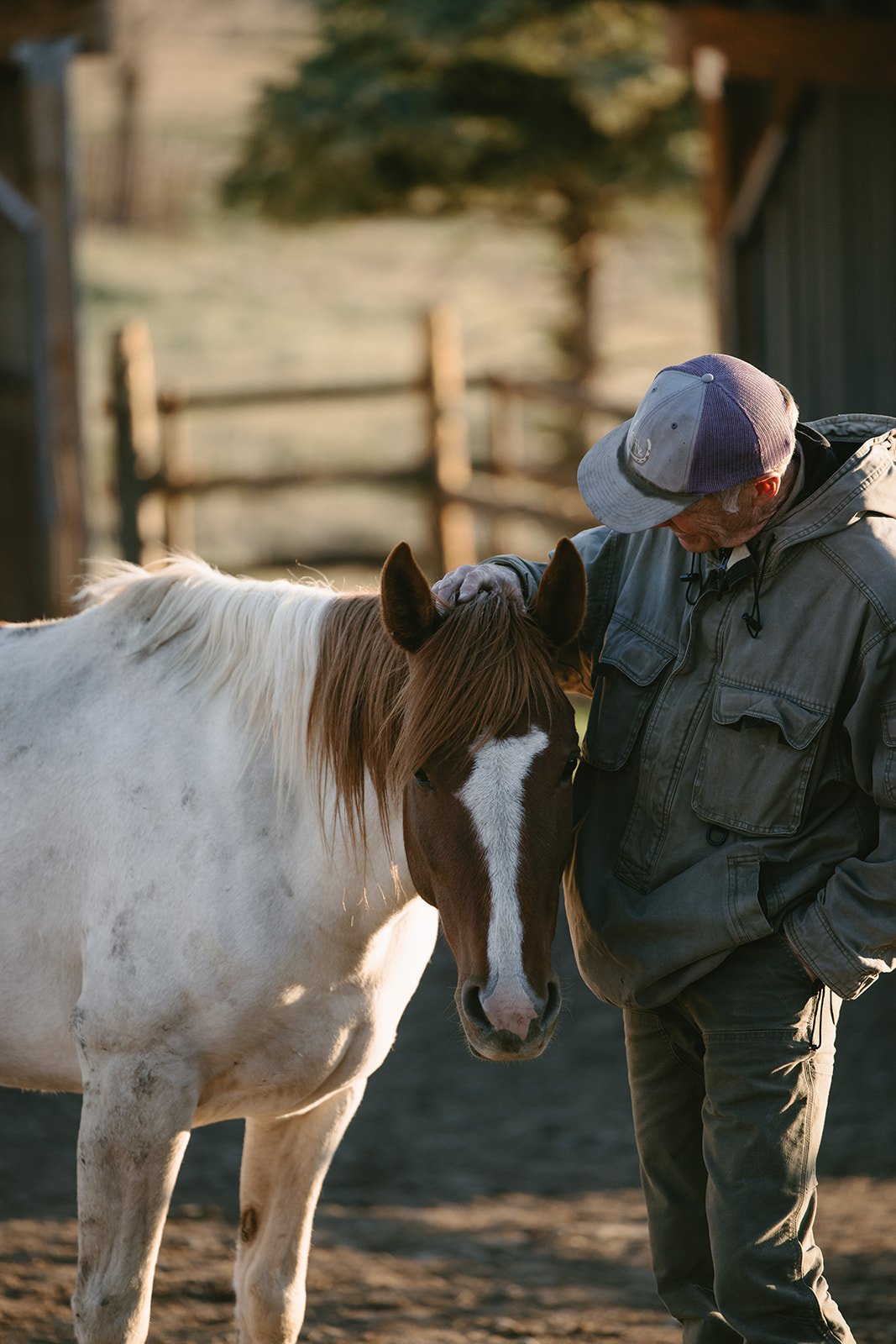 A man petting a white and brown horse in an outdoor farm setting during sunset. Rhianon Brown Photography's brand photoshoot for Grace Reins Equine Therapy in Colorado.