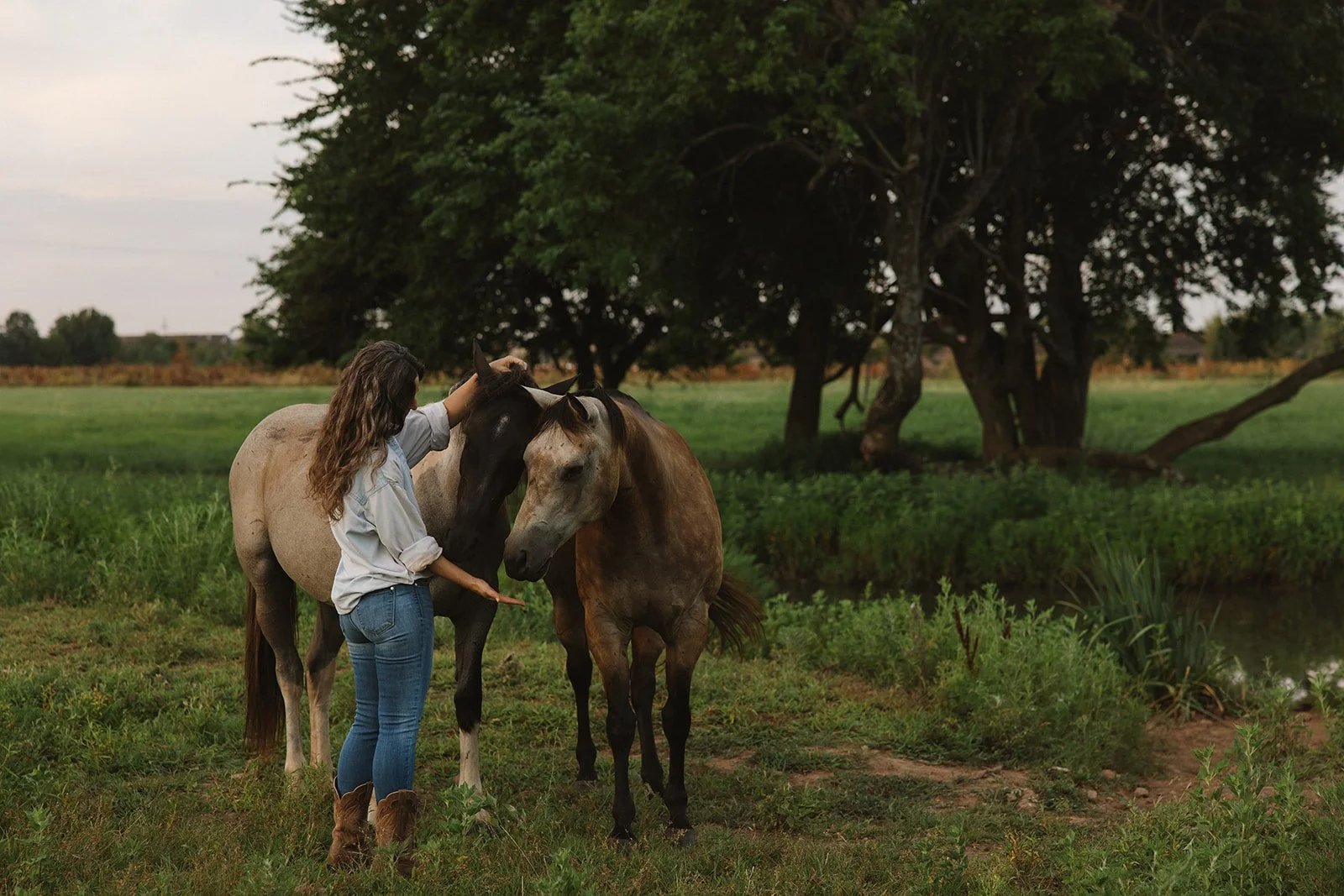 A woman with long brown hair wearing a white shirt and blue jeans gently petting two horses in a green field near a pond, with trees in the background under a cloudy sky.  Brand and lifestyle photography for Sacred Align Equine by Rhianon Brown Photo