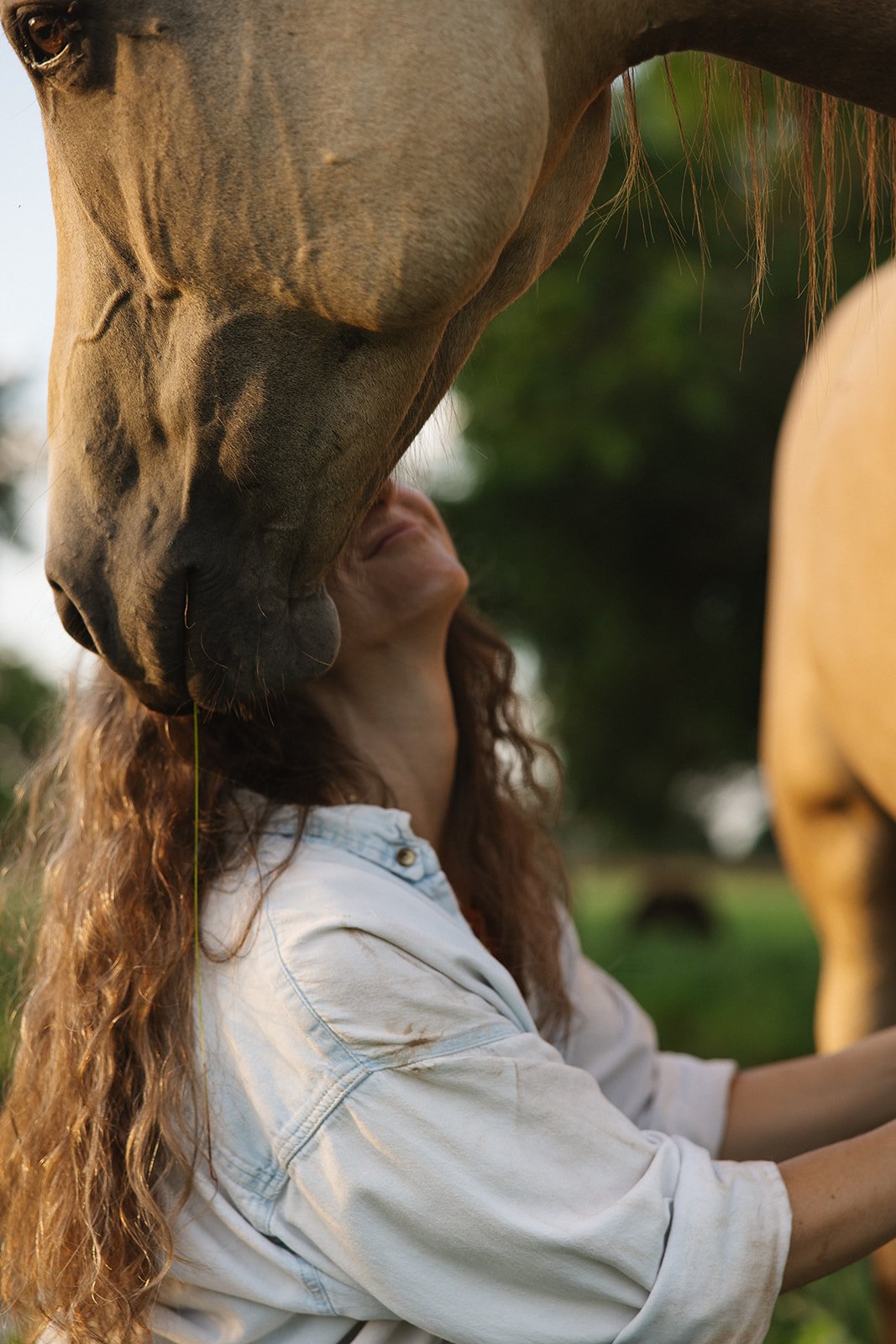 A woman with curly hair and a white shirt is sitting outdoors with a brown horse, which is nuzzling her face. The background is green and blurred.  Brand and lifestyle photography for Sacred Align Equine by Rhianon Brown Photography.
