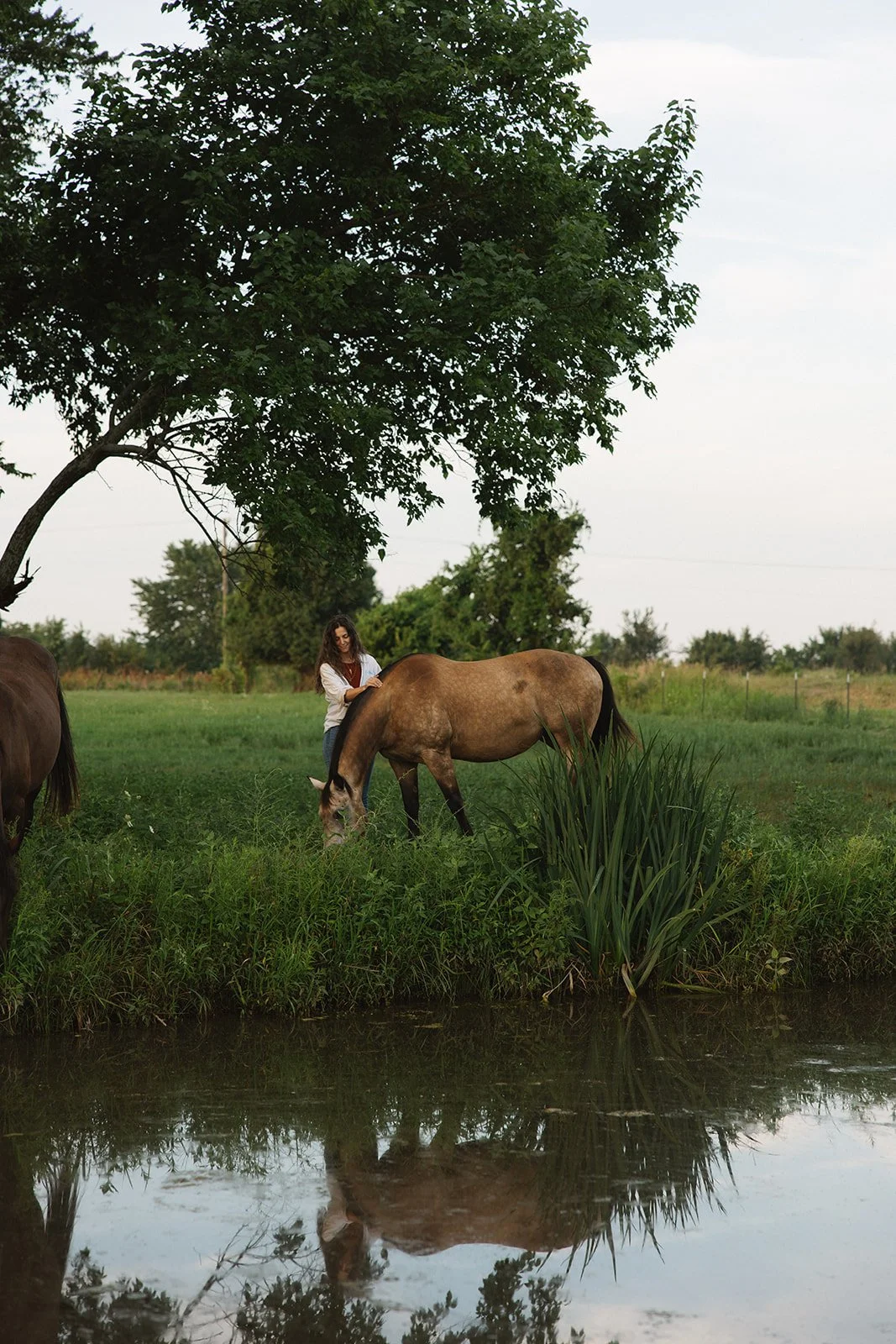A woman standing beside a brown horse near a pond, with trees and green grass in the background.  Brand and lifestyle photography for Sacred Align Equine by Rhianon Brown Photography.