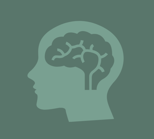 Silhouette of a human head with a brain inside, superimposed over a green background.