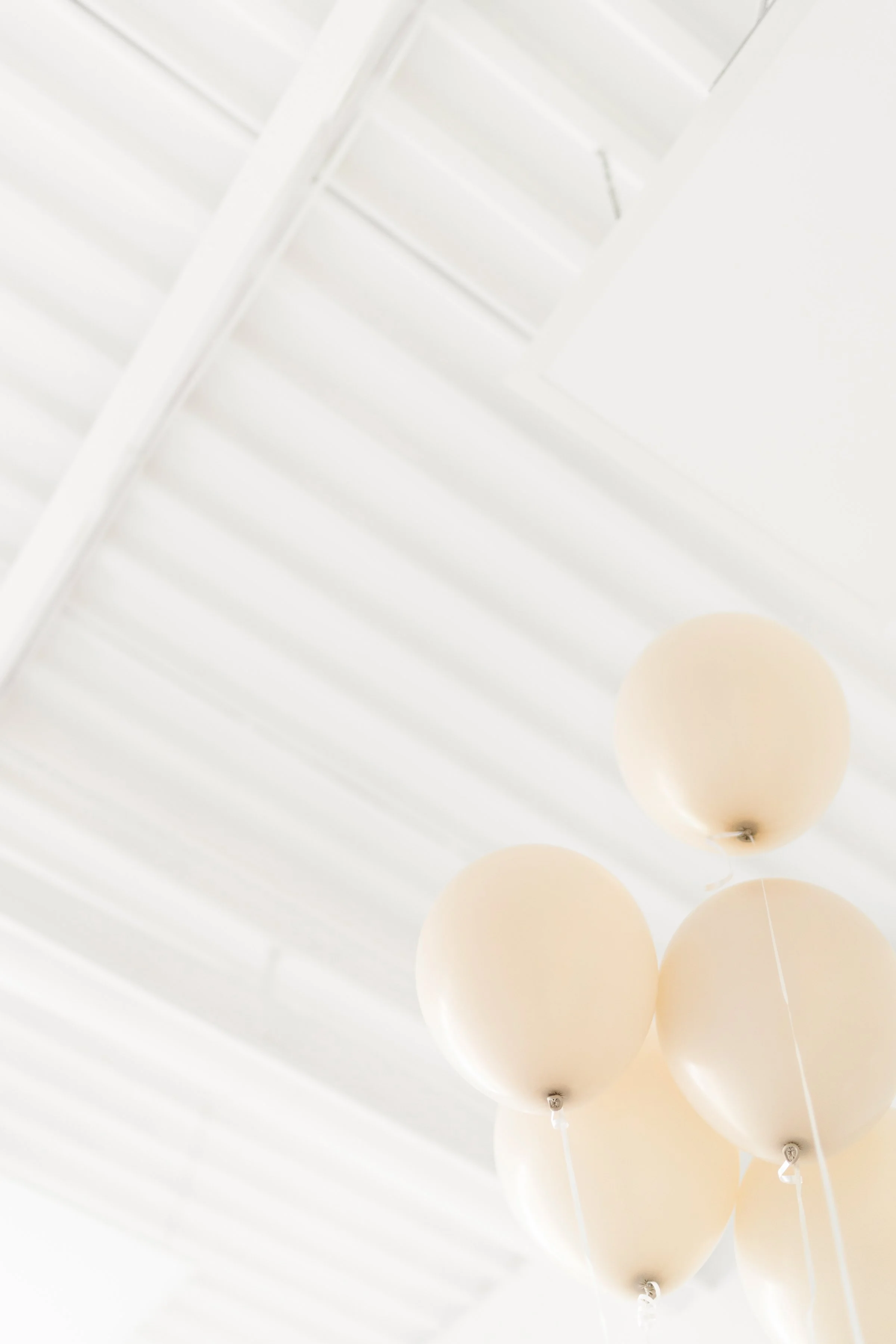 haute-stock-photography-subscription-champagne-disco-collection-final-3.jpg