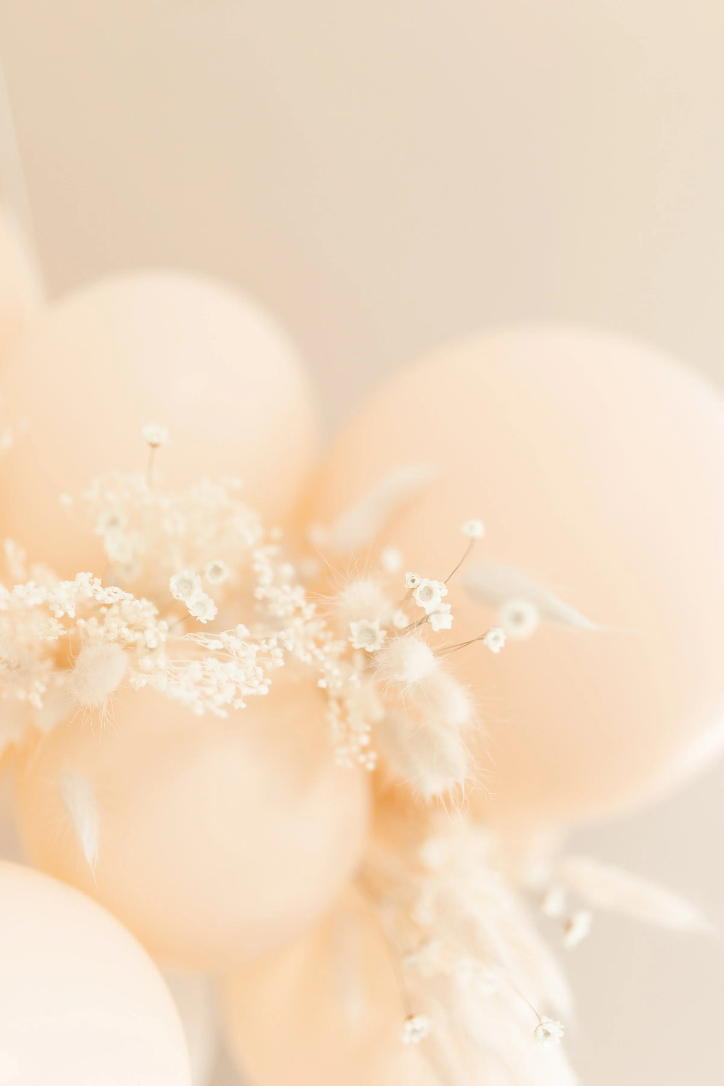 haute-stock-photography-subscription-a-neutral-affair-collection-final-22.jpg