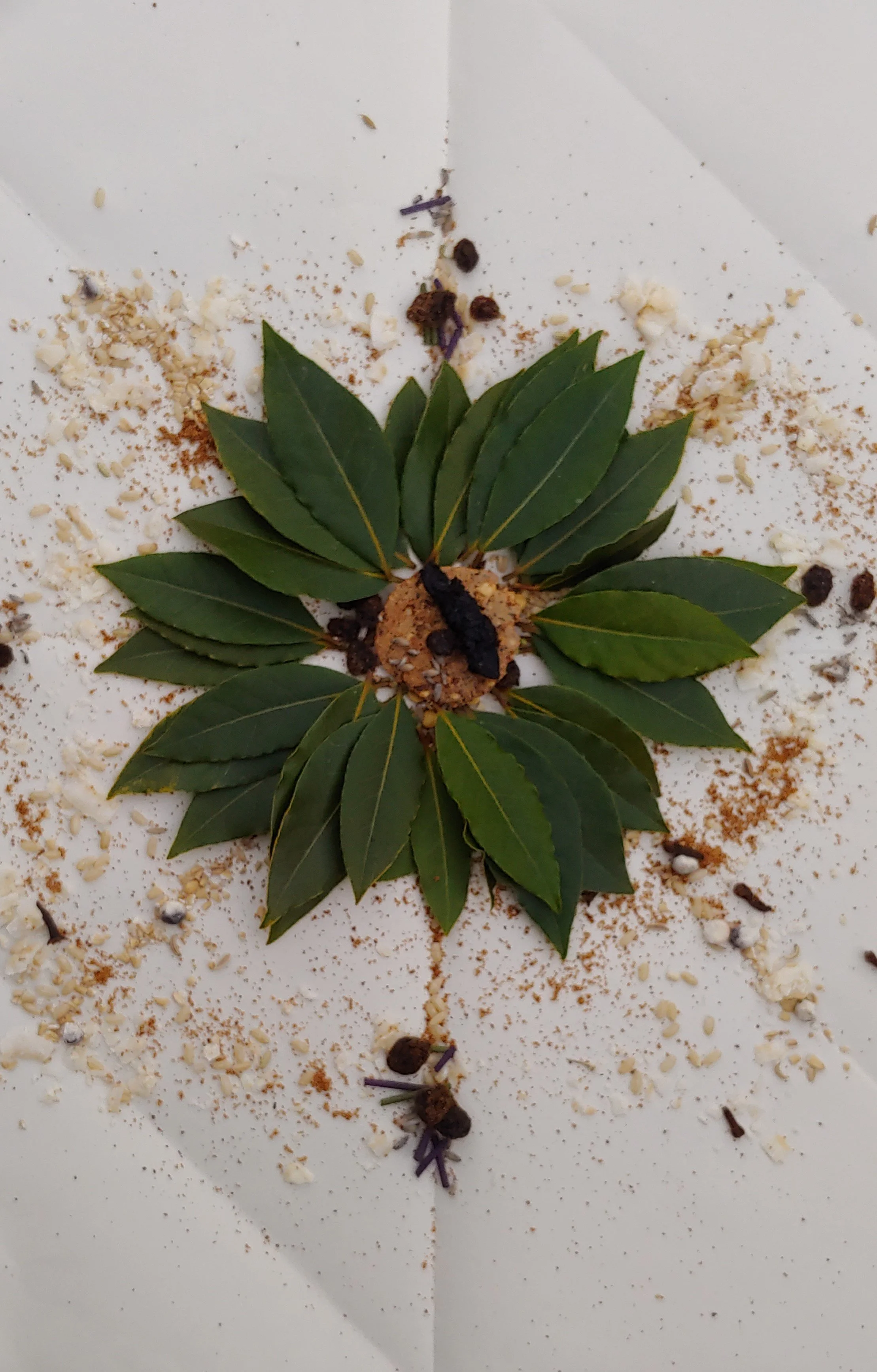 A green leafy herb, possibly bay leaves, arranged in a circle on white paper with scattered herbs and spices nearby.