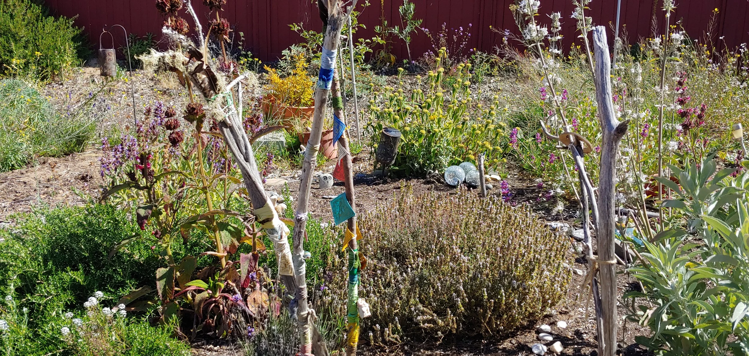 A garden with various plants, small trees, and decorative items, including glass orbs, against a red fence background.