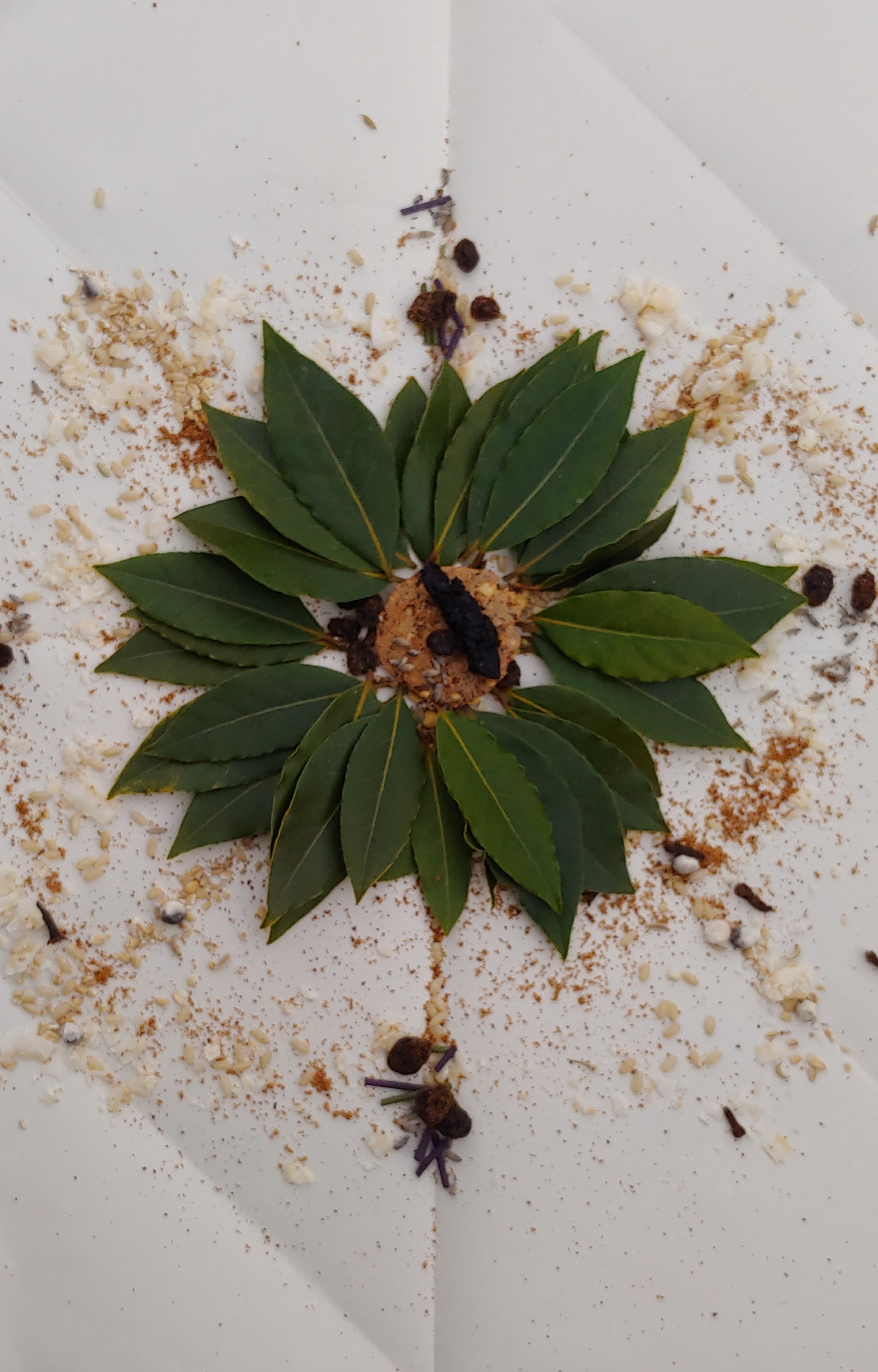 A display of herbs, spices, and botanicals arranged on a white surface, including bay leaves, dried lavender, peppercorns, and ground spices.