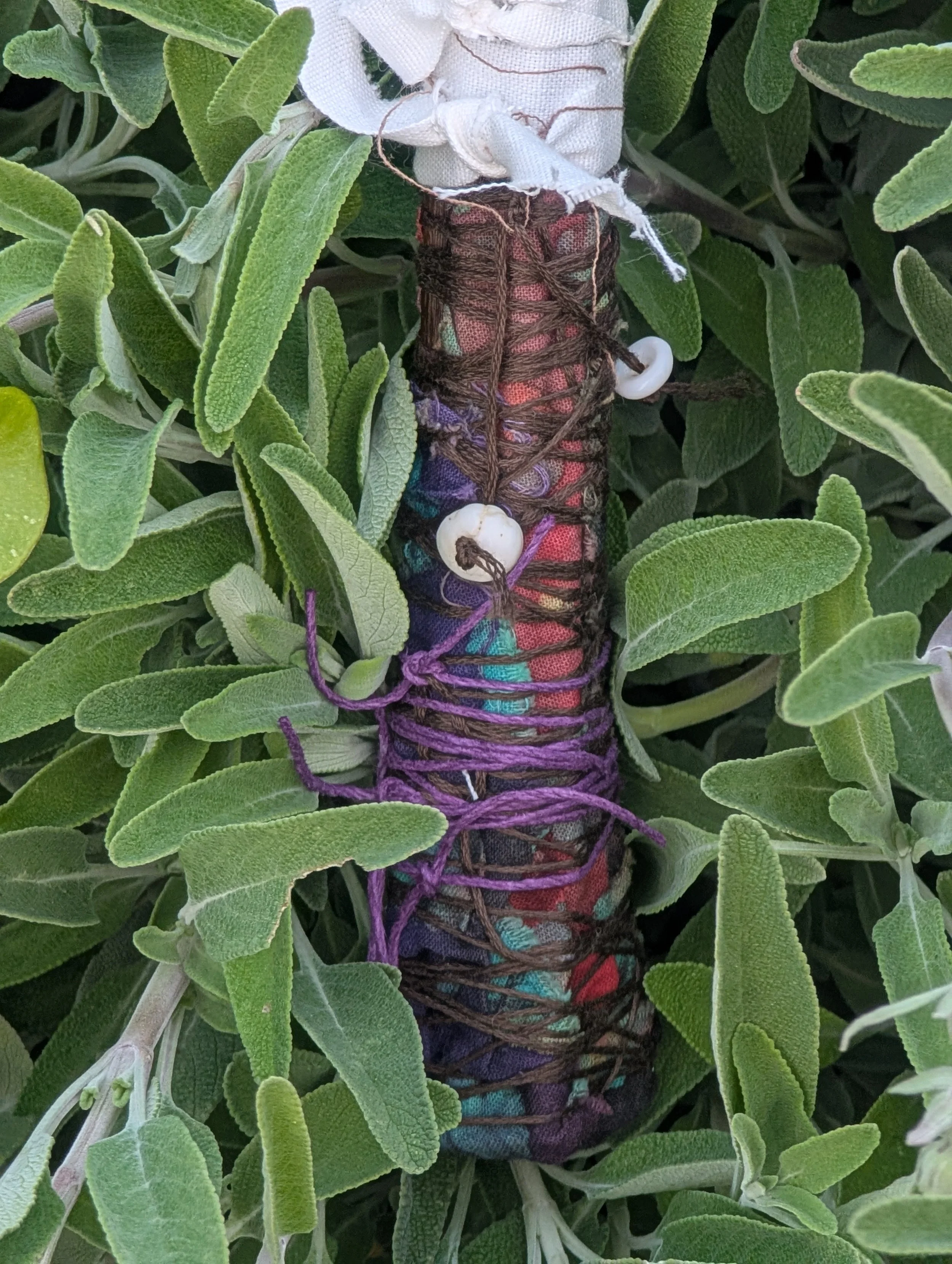 A close-up of a bundle of colorful yarn wrapped with a brown string, nestled among fresh, green sage leaves.